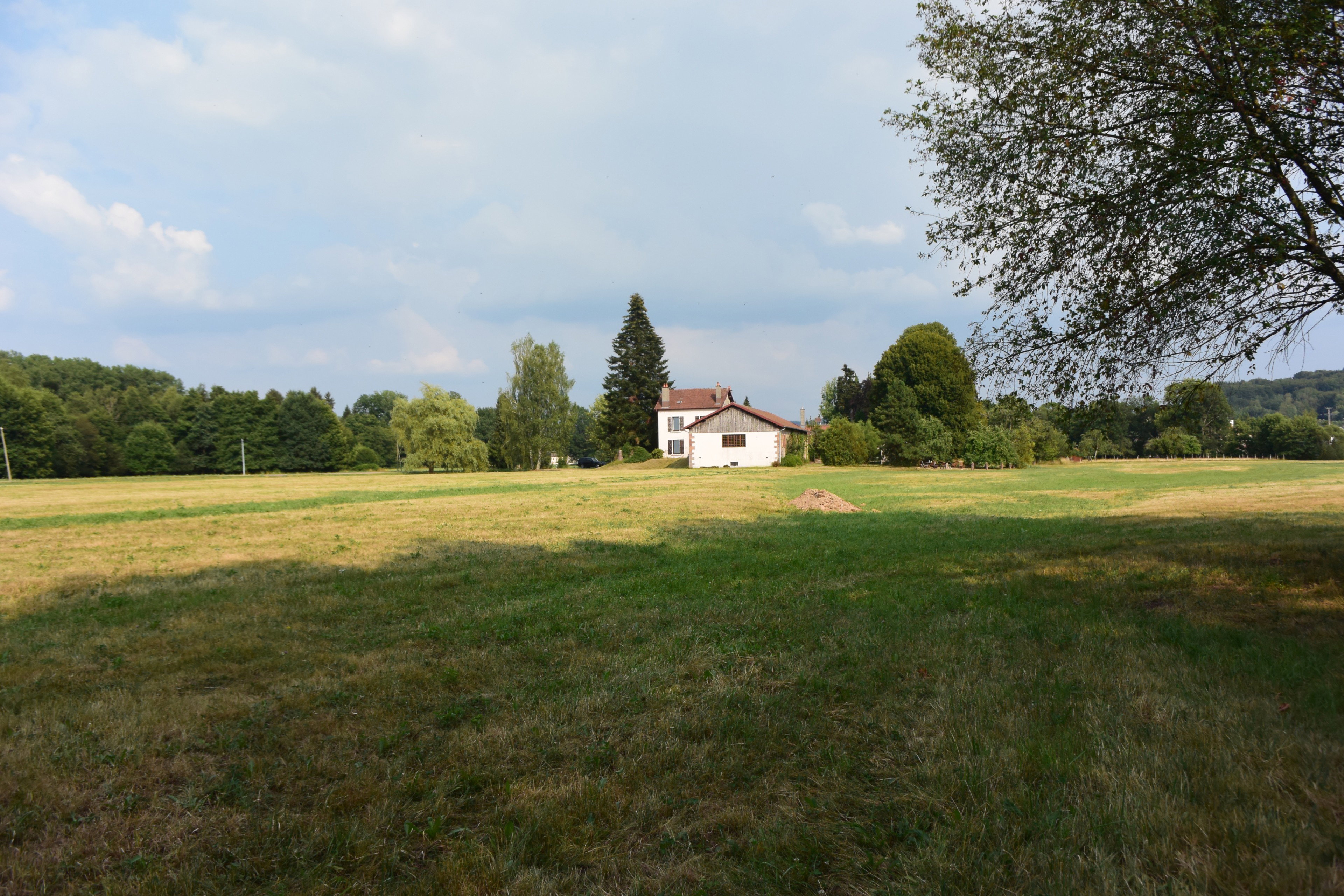 - image: 56
