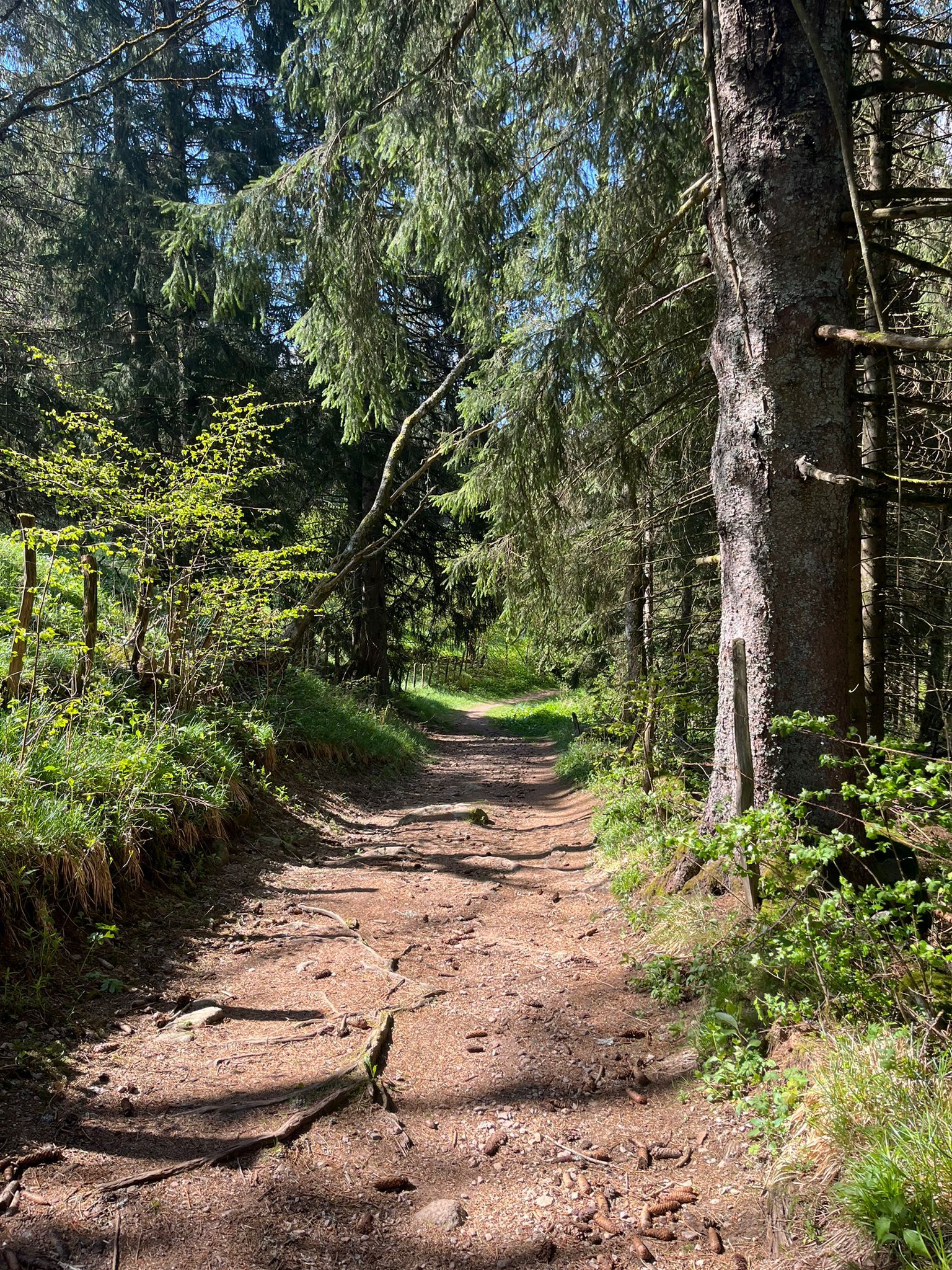 Naturhäuschen in La Bresse