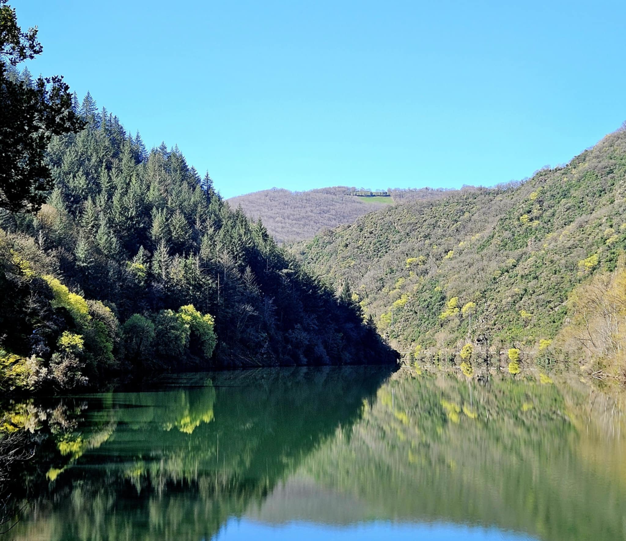 Natuurhuisje in Réquista