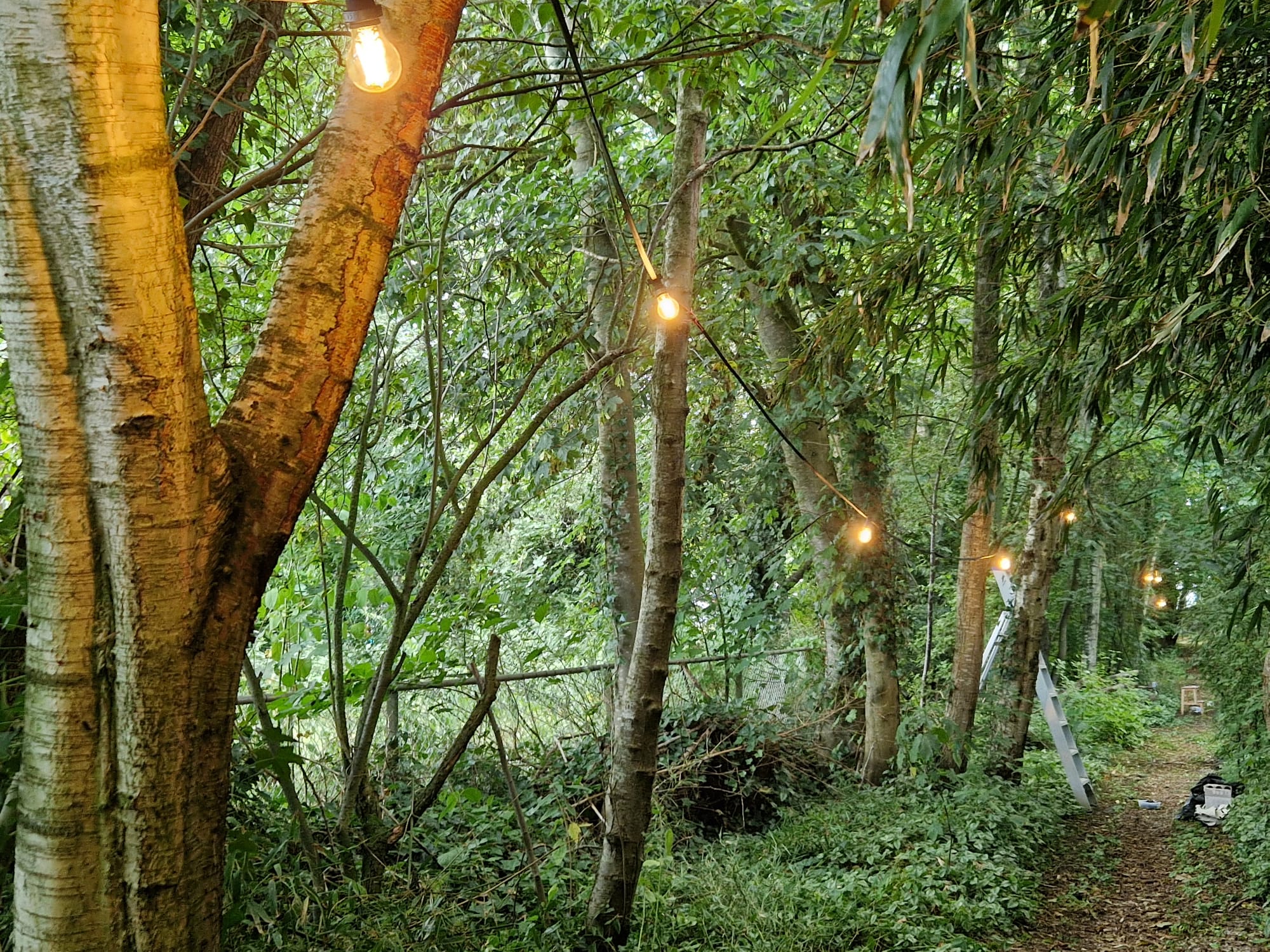 Naturhäuschen in Garmerwolde