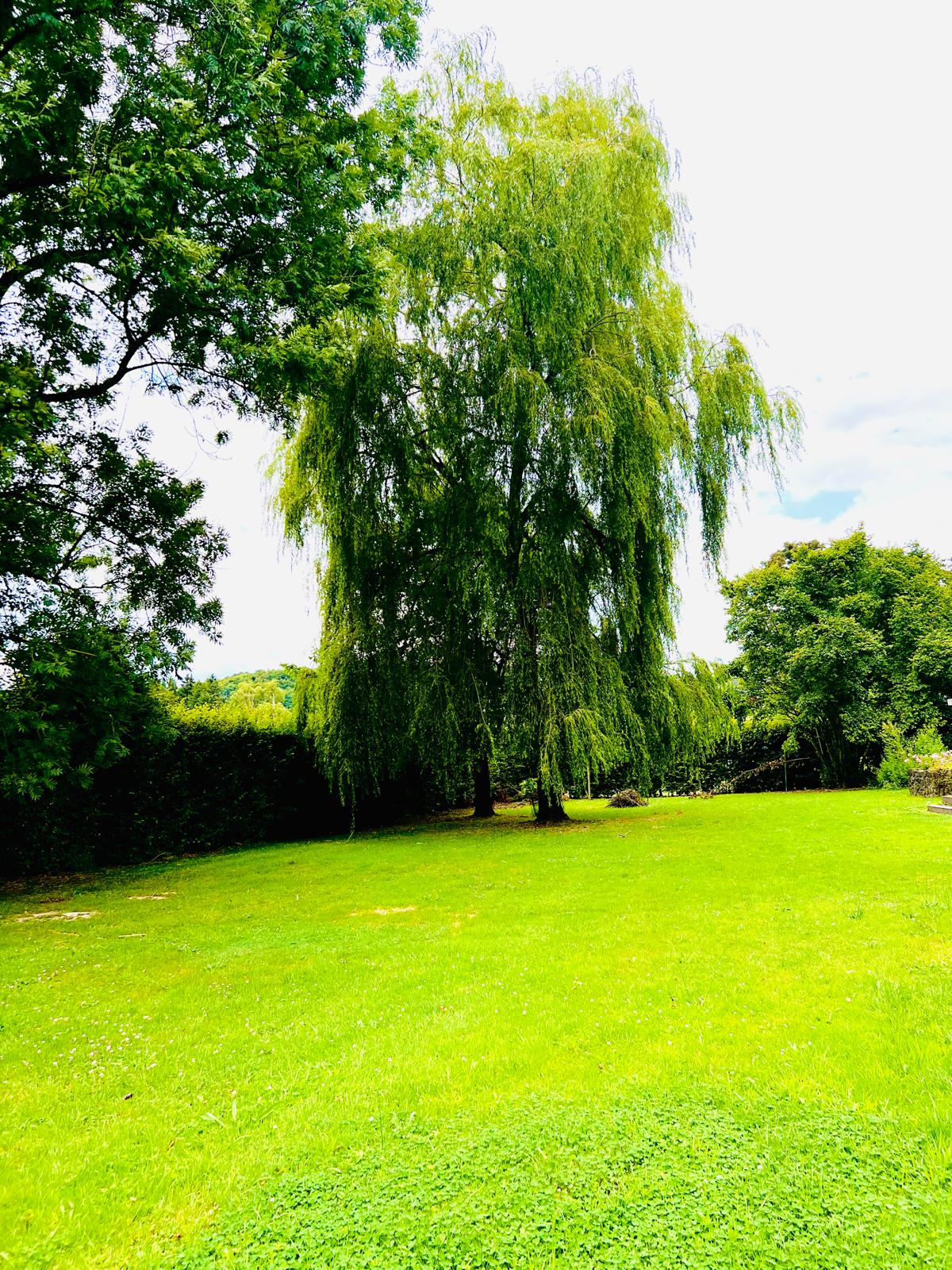 Nature house in Durbuy