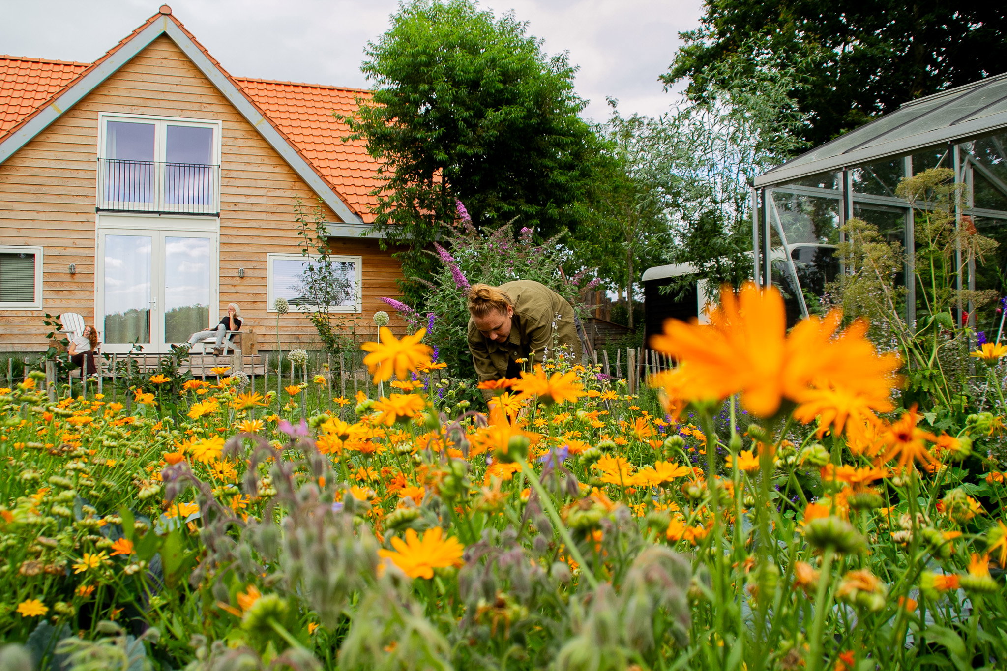 Maison nature à Nunspeet
