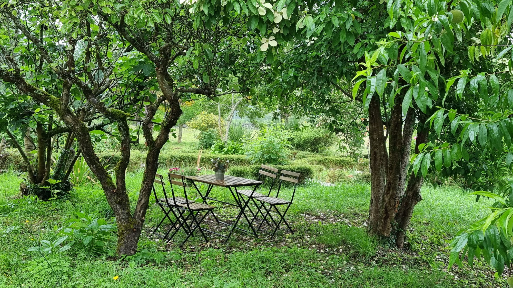 Natuurhuisje in Finca Bouzas