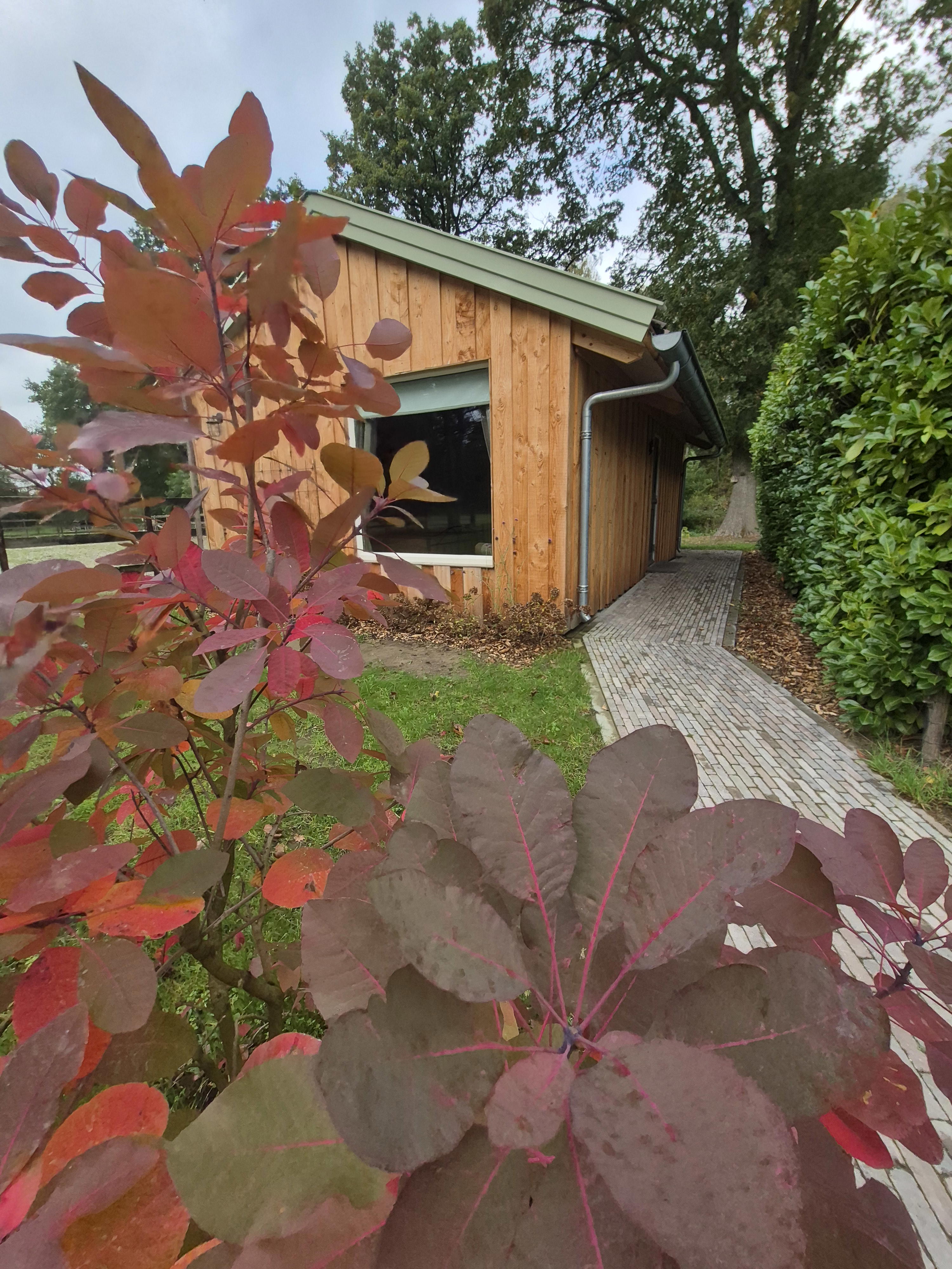 Casa nella natura a Gorssel