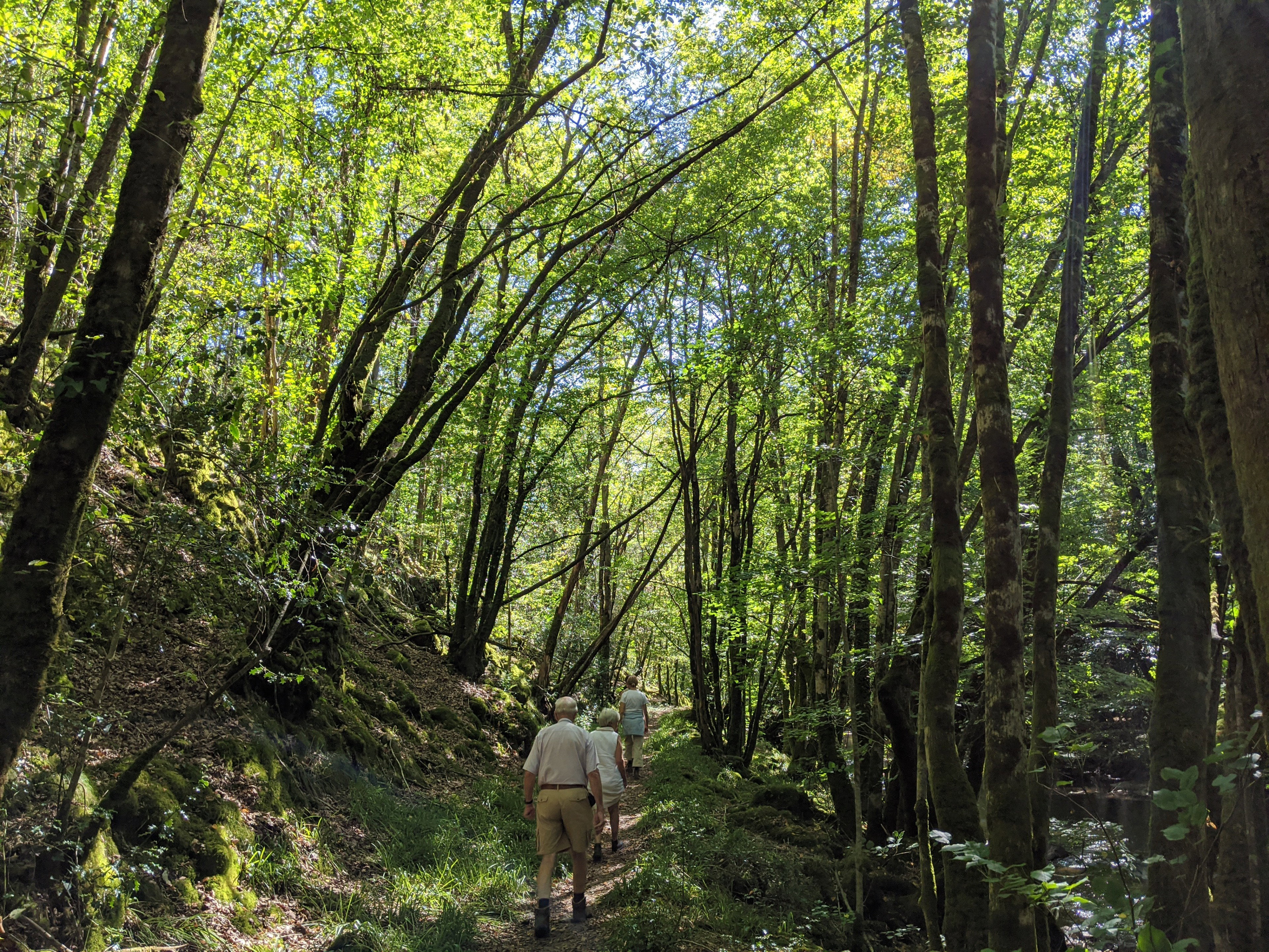Natuurhuisje in Saint-Médard-d'Excideuil