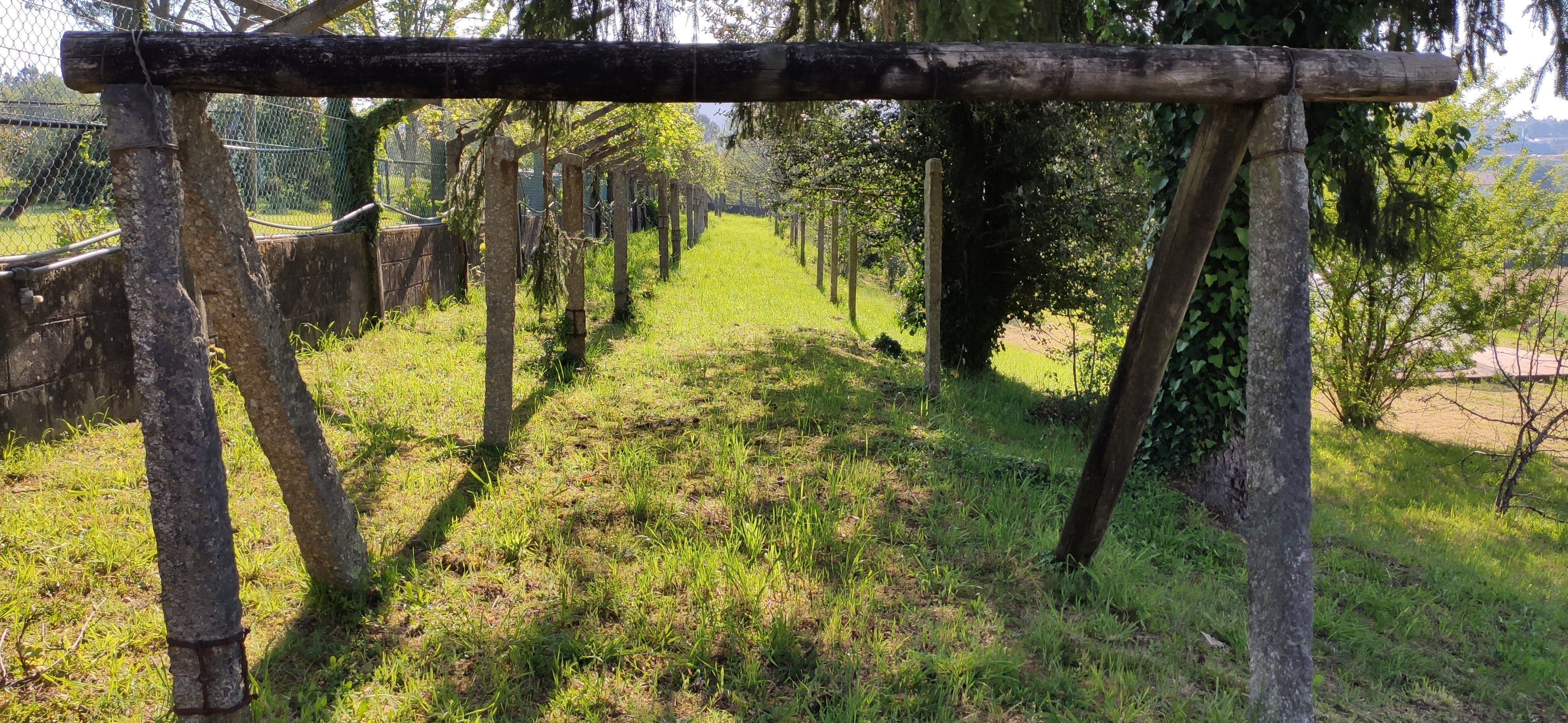 - image: 13
