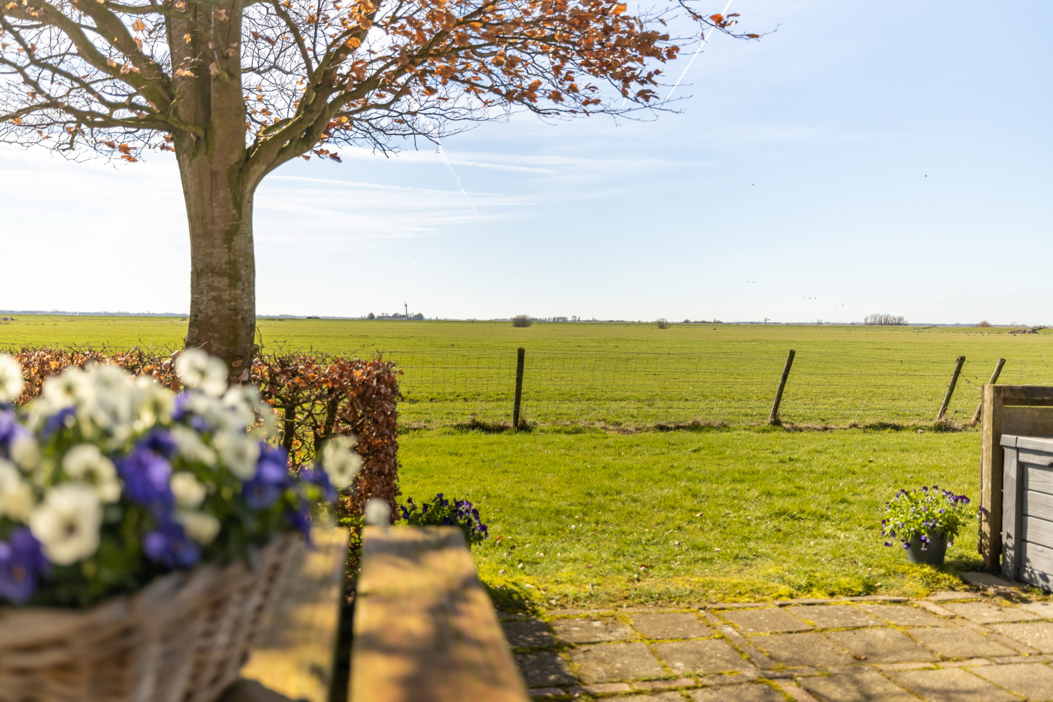 Natuurhuisje in Elahuizen