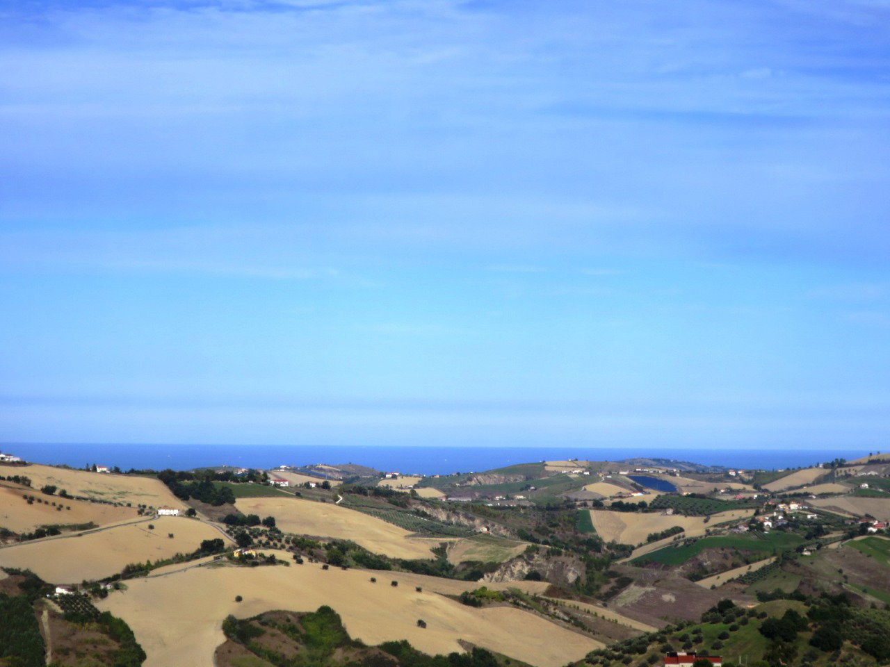 - image: 11