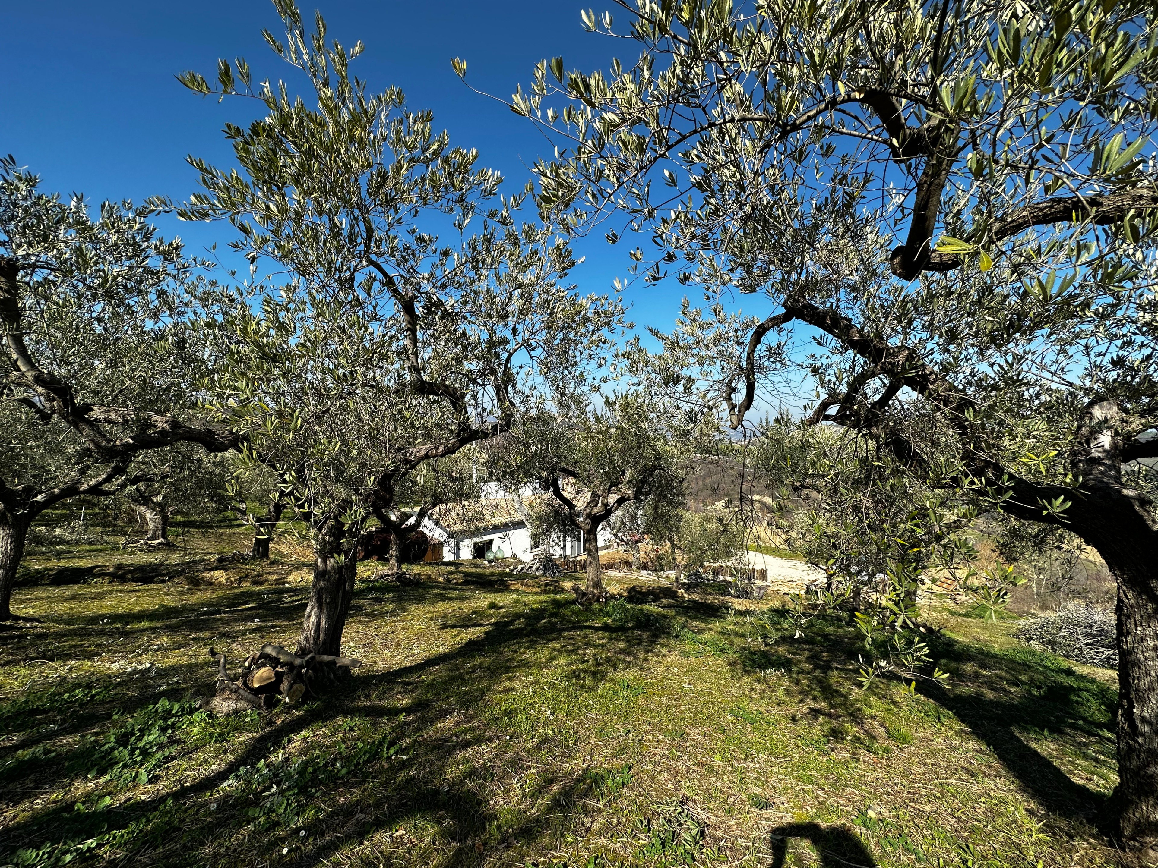 Natuurhuisje in Muraglie