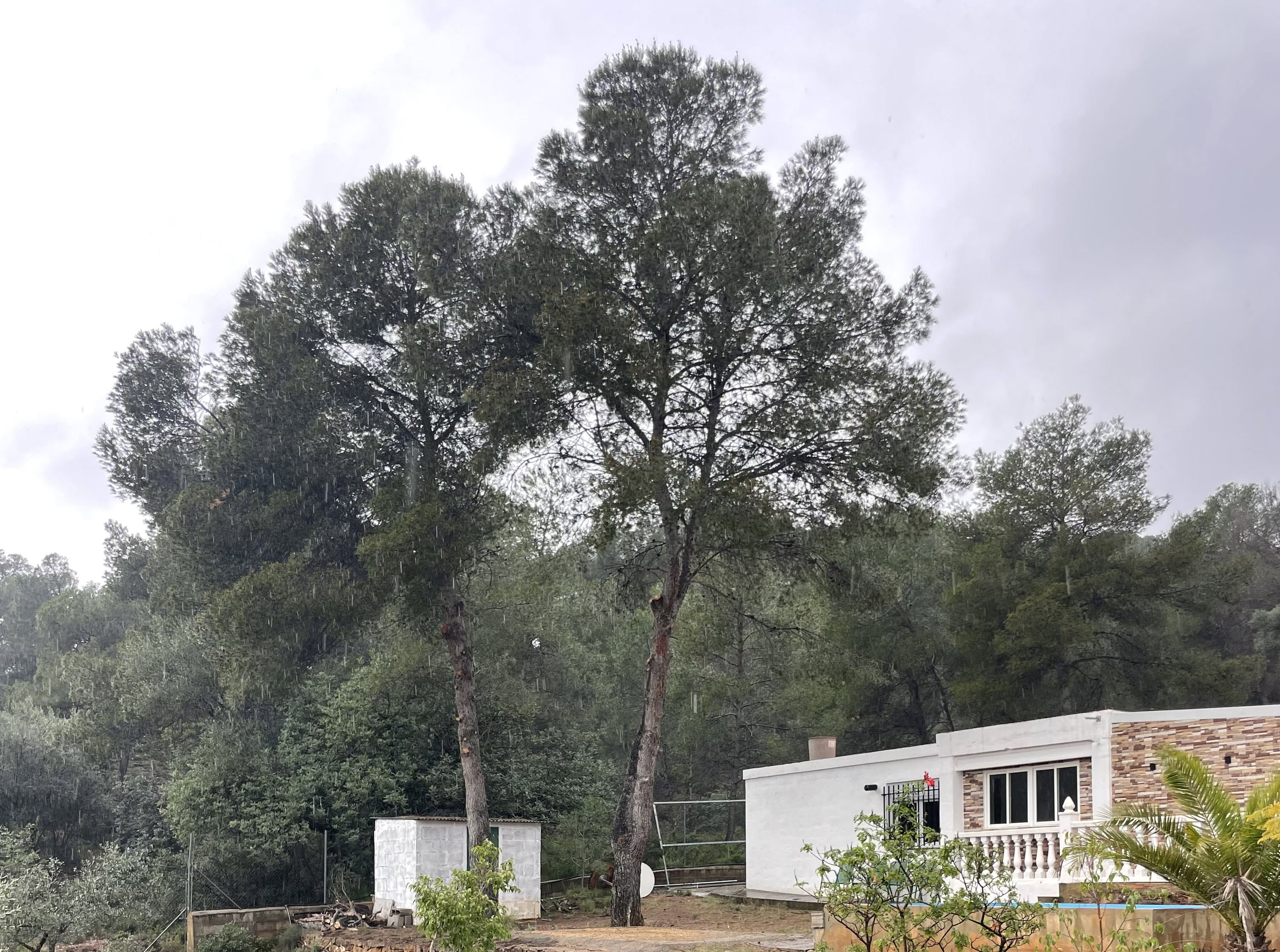 Natuurhuisje in Sagunto
