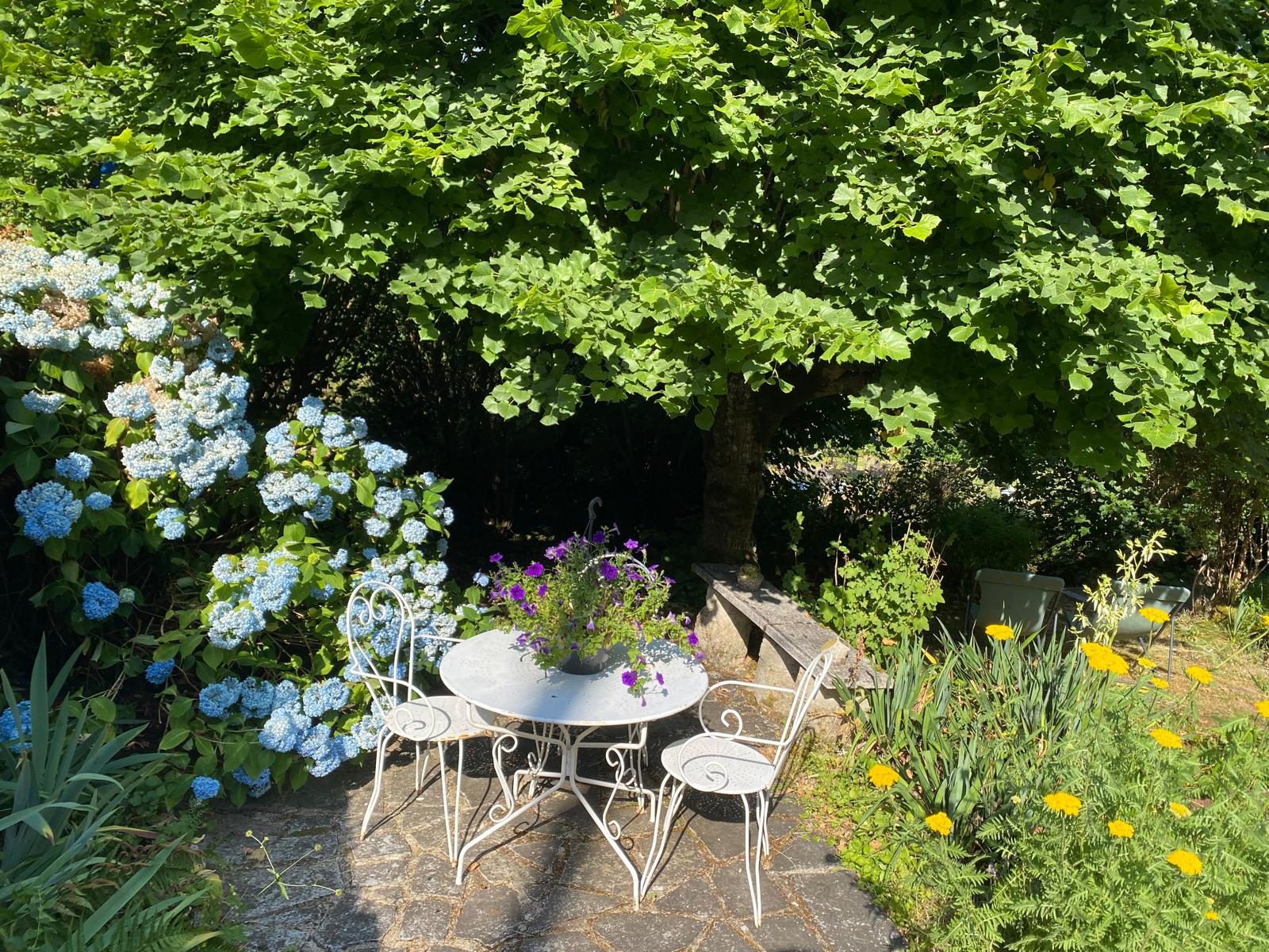Maison nature à FRANSÈCHES