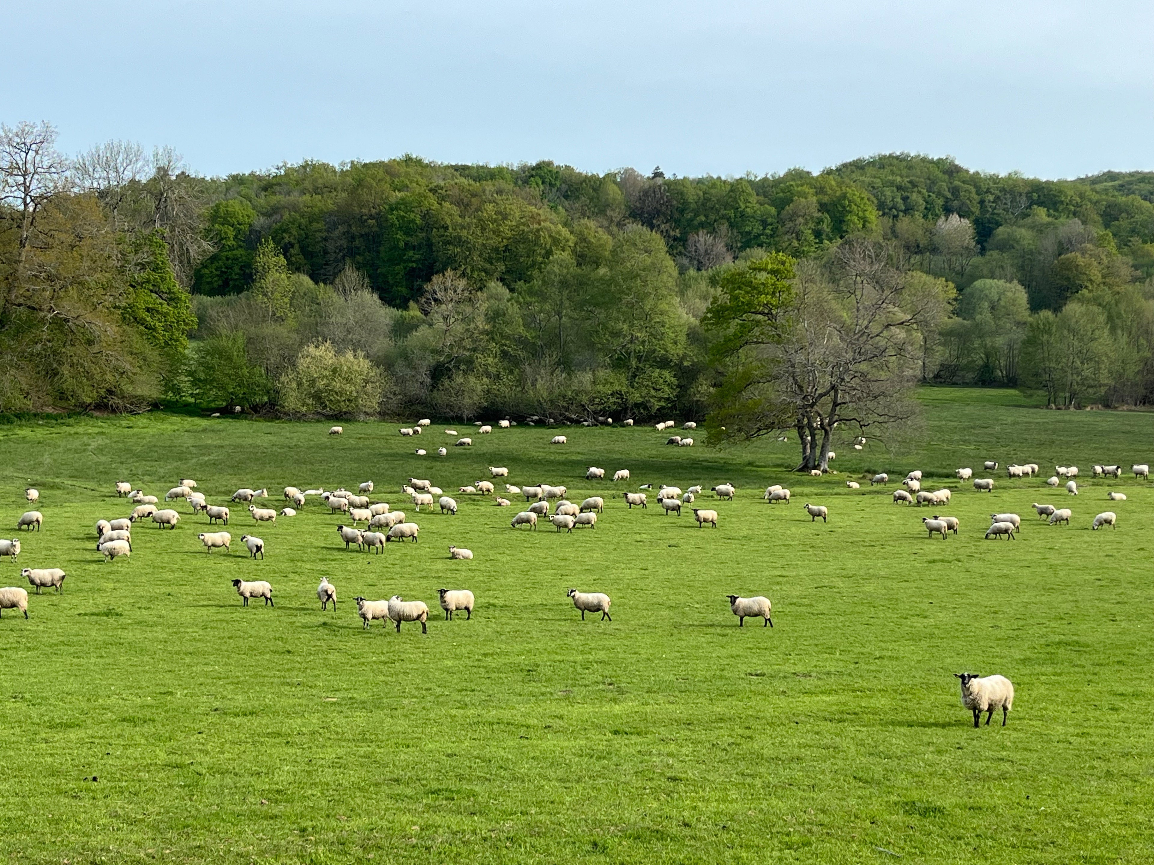 Maison nature à FRANSÈCHES