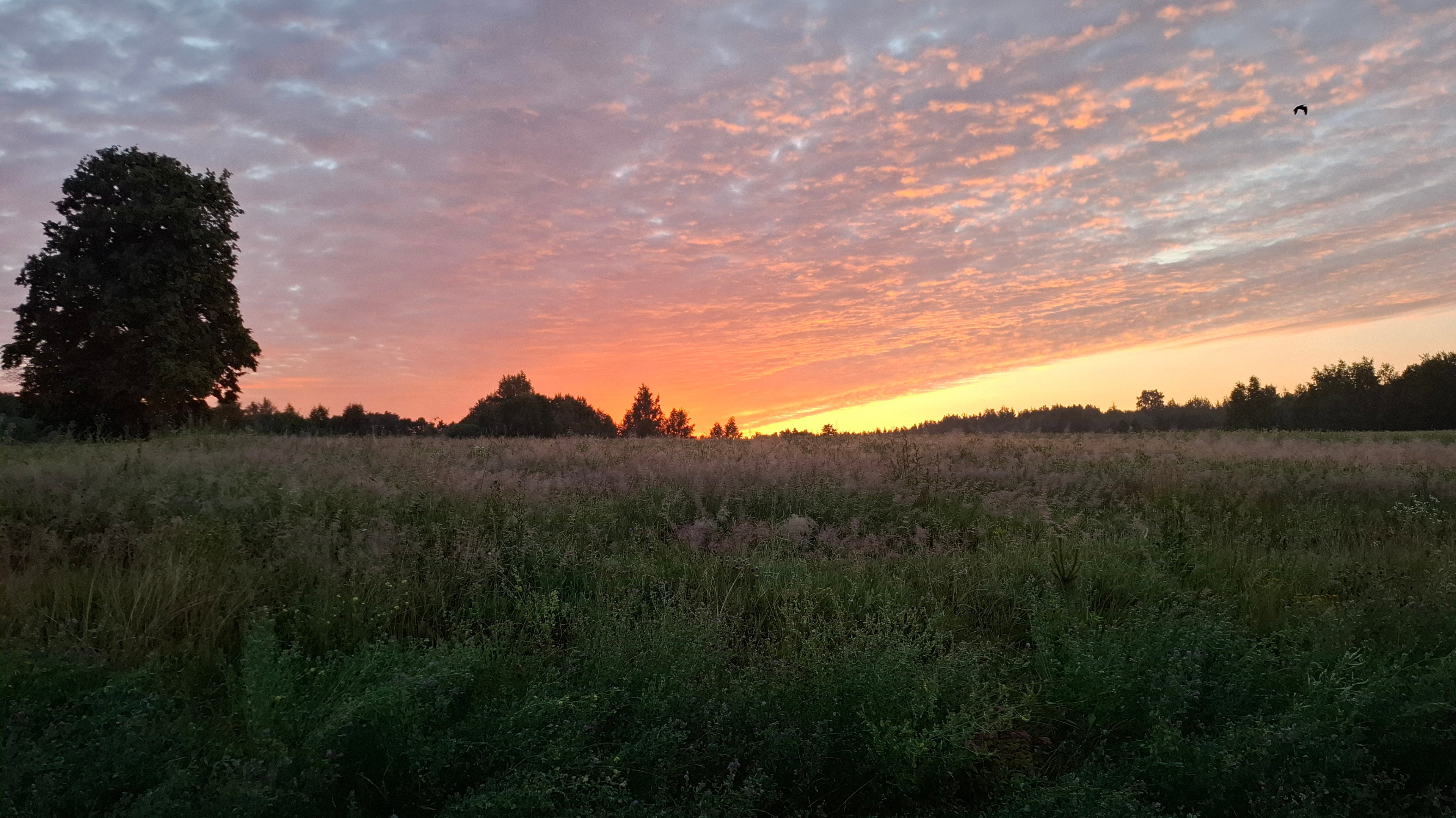Natuurhuisje in Aliniske