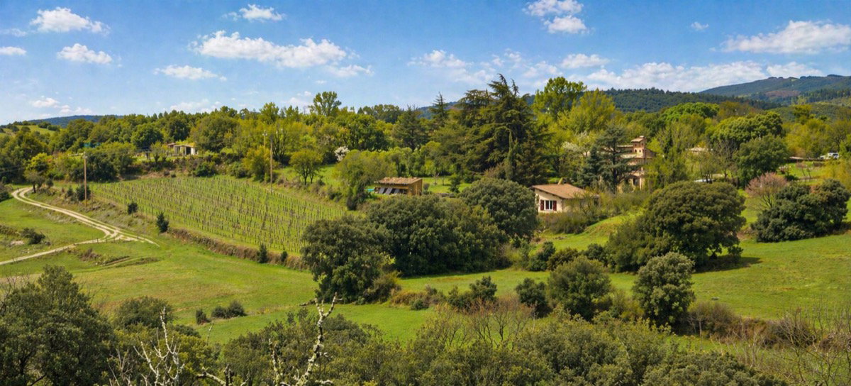 Nature house in Ferrieres Poussarou