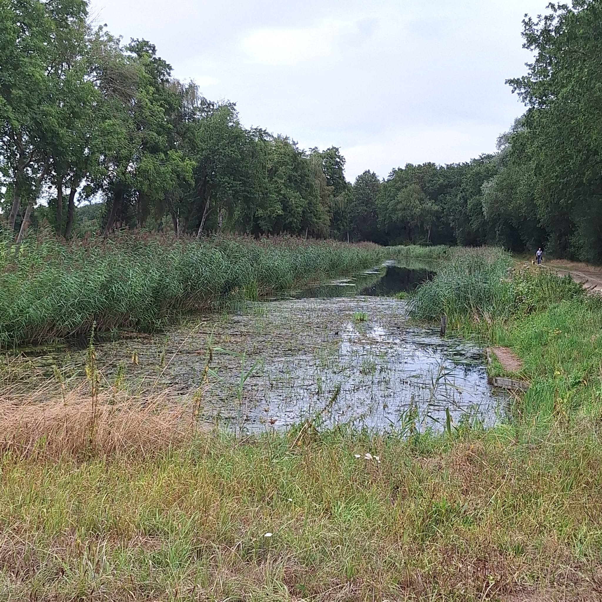Natuurhuisje in Raalte