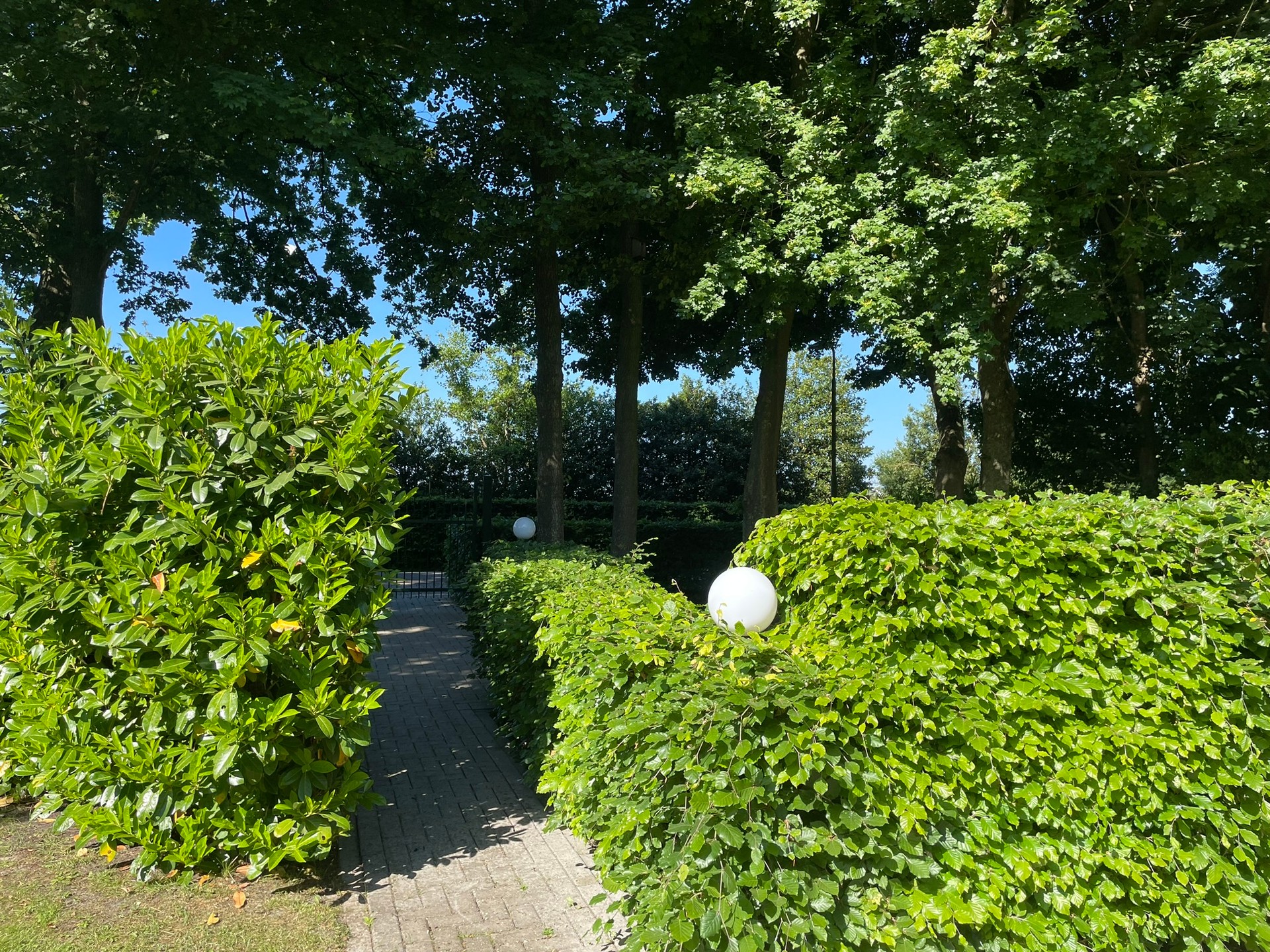 - image: 16
