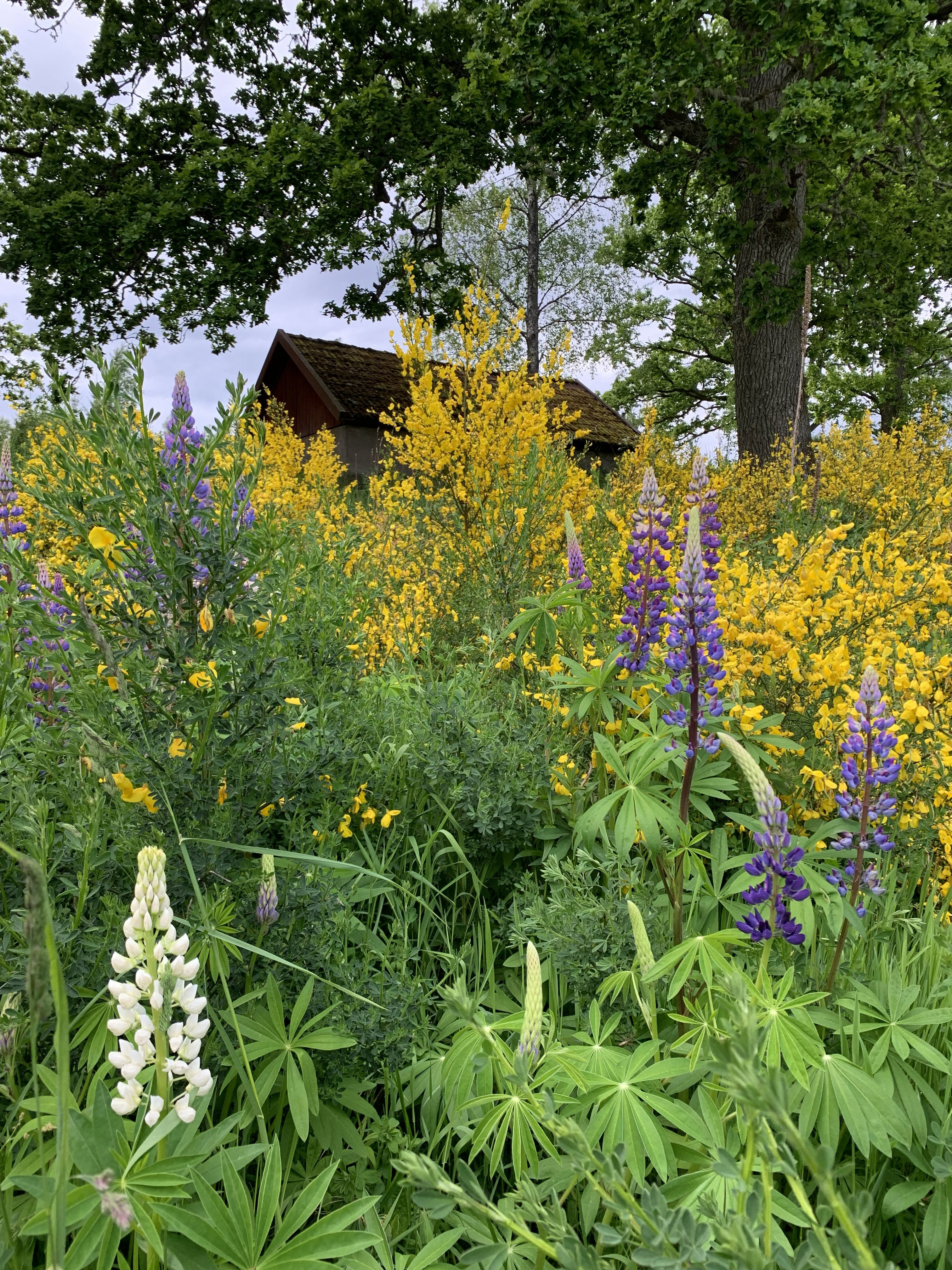 Nature house in Gimmarp, Bor, Varnamo