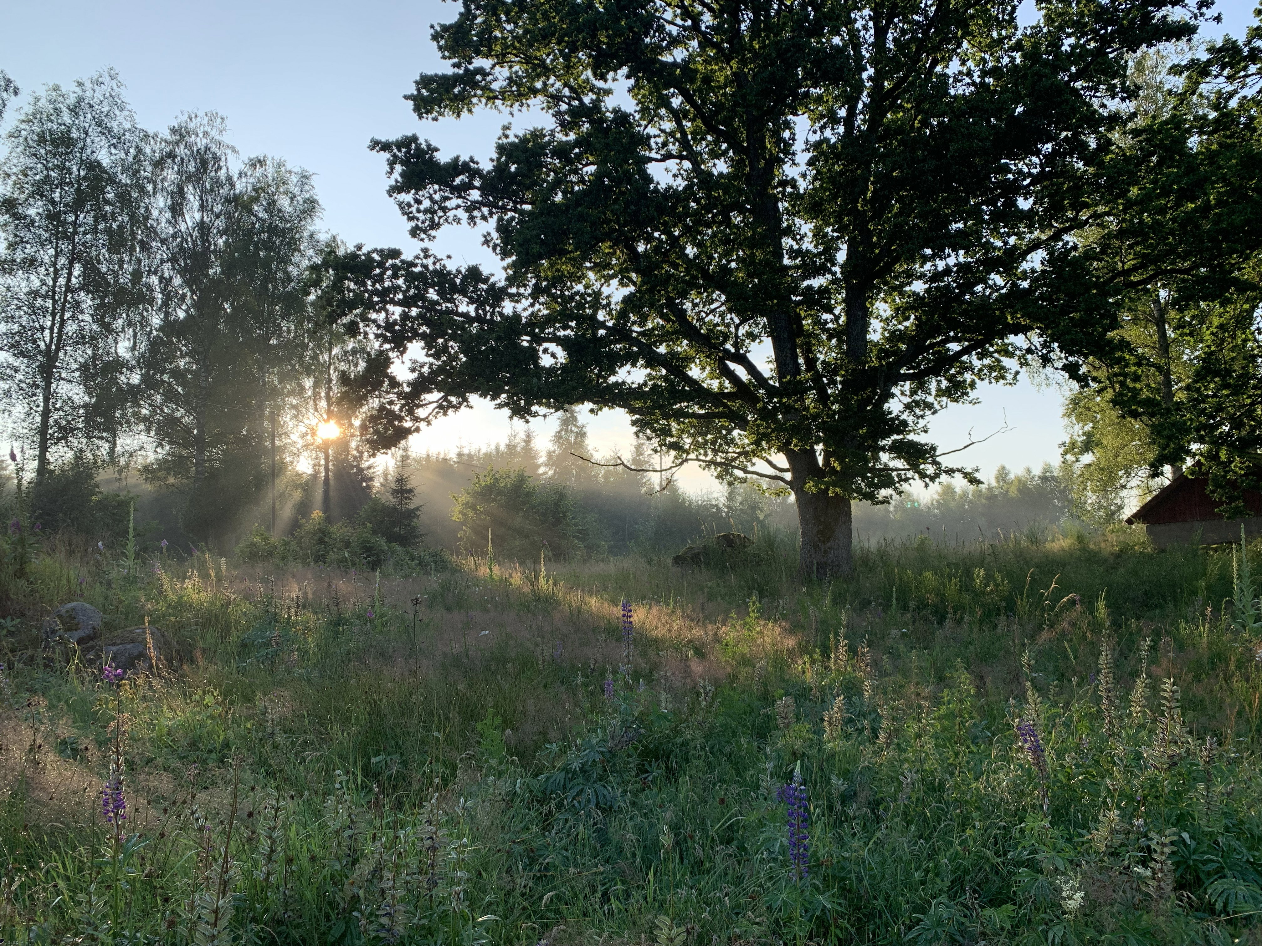 Nature house in Gimmarp, Bor, Varnamo