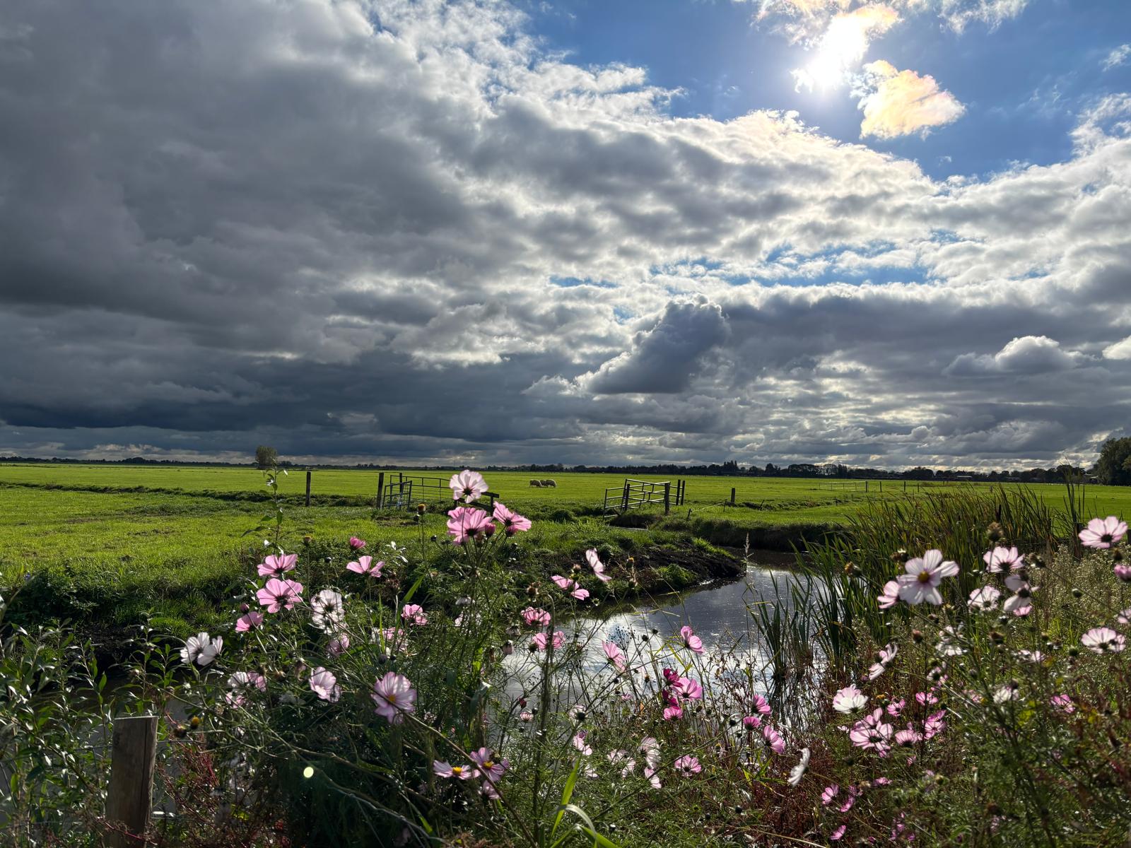 Casa nella natura a Ouderkerk aan de Amstel
