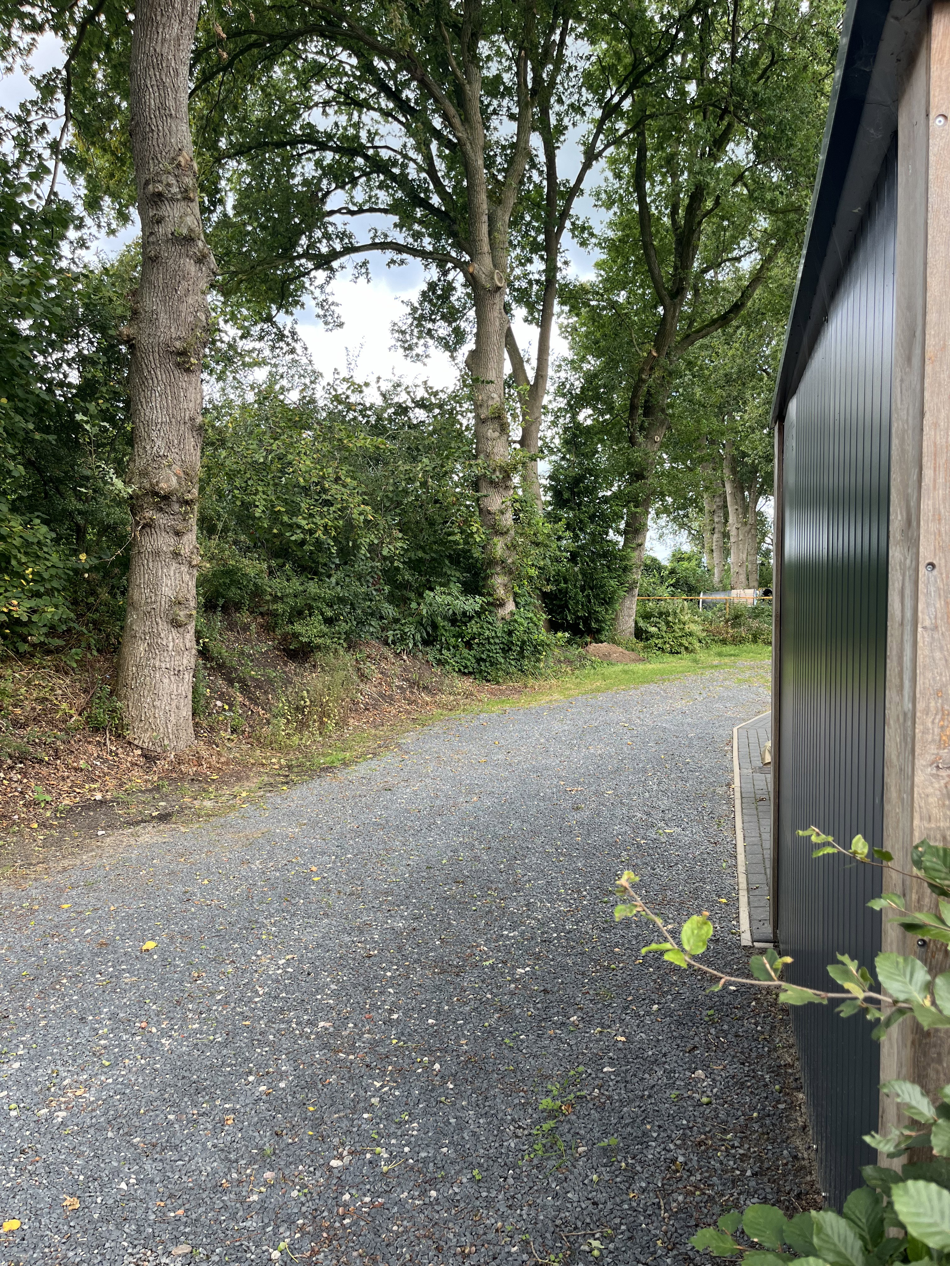 Casa nella natura a IJhorst