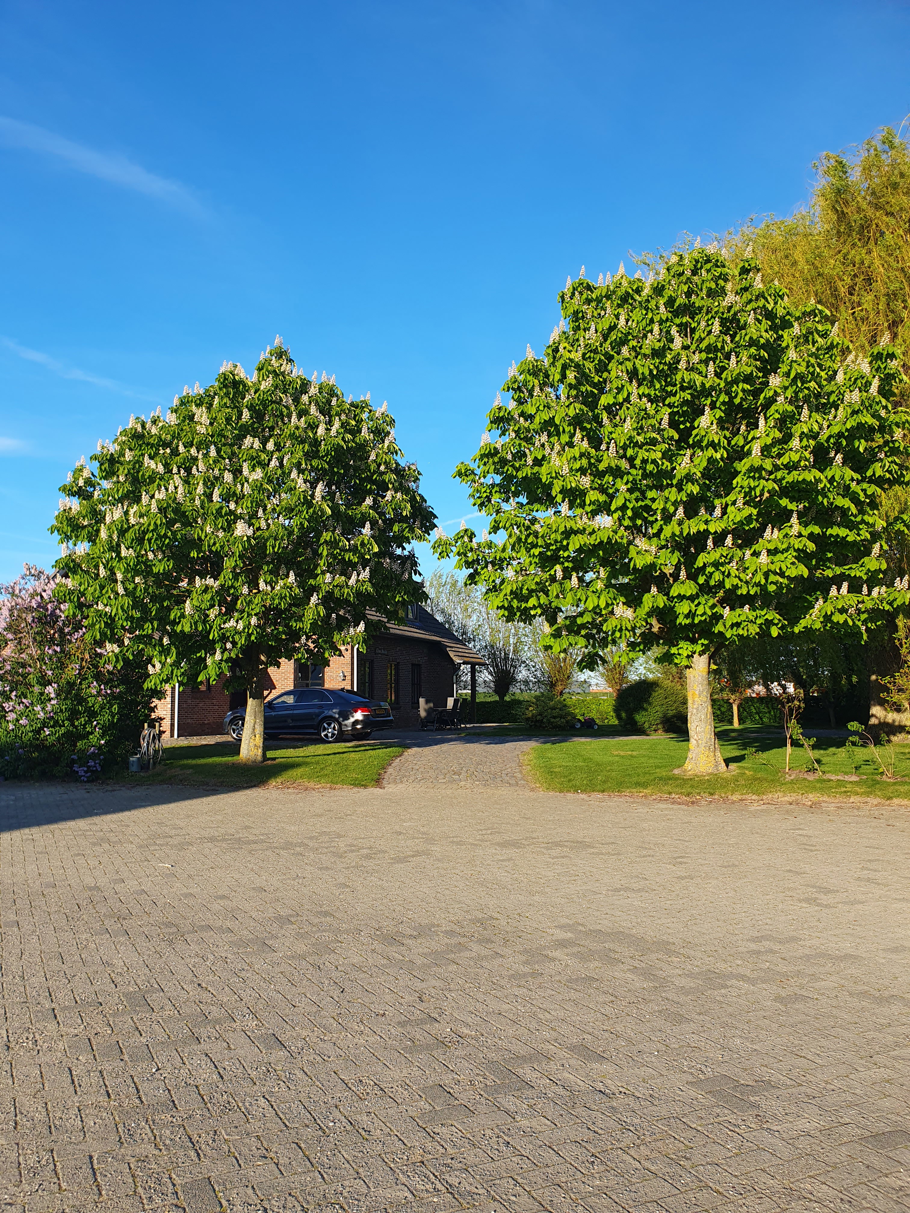Natuurhuisje in Axel