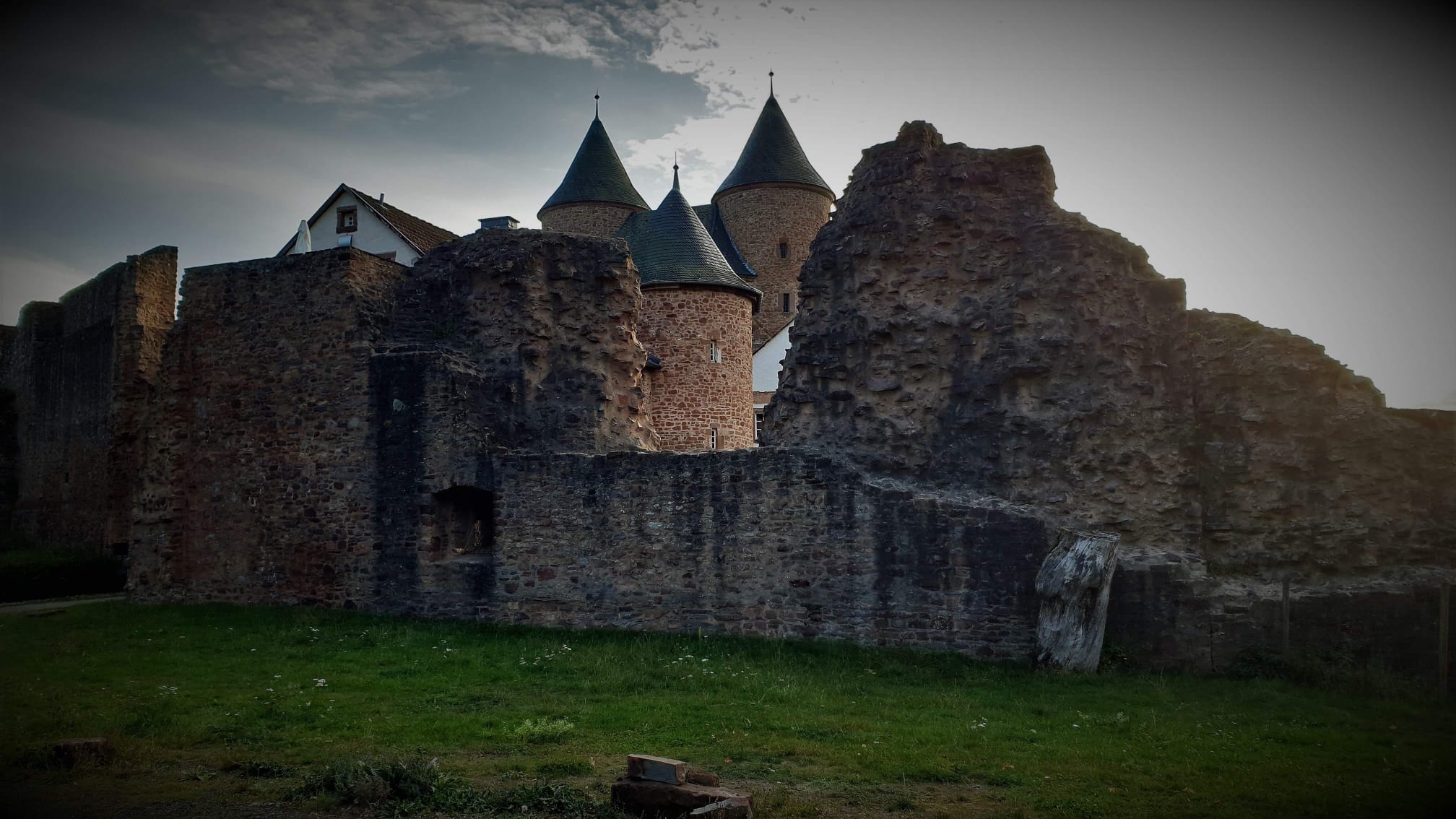 - image: 24
