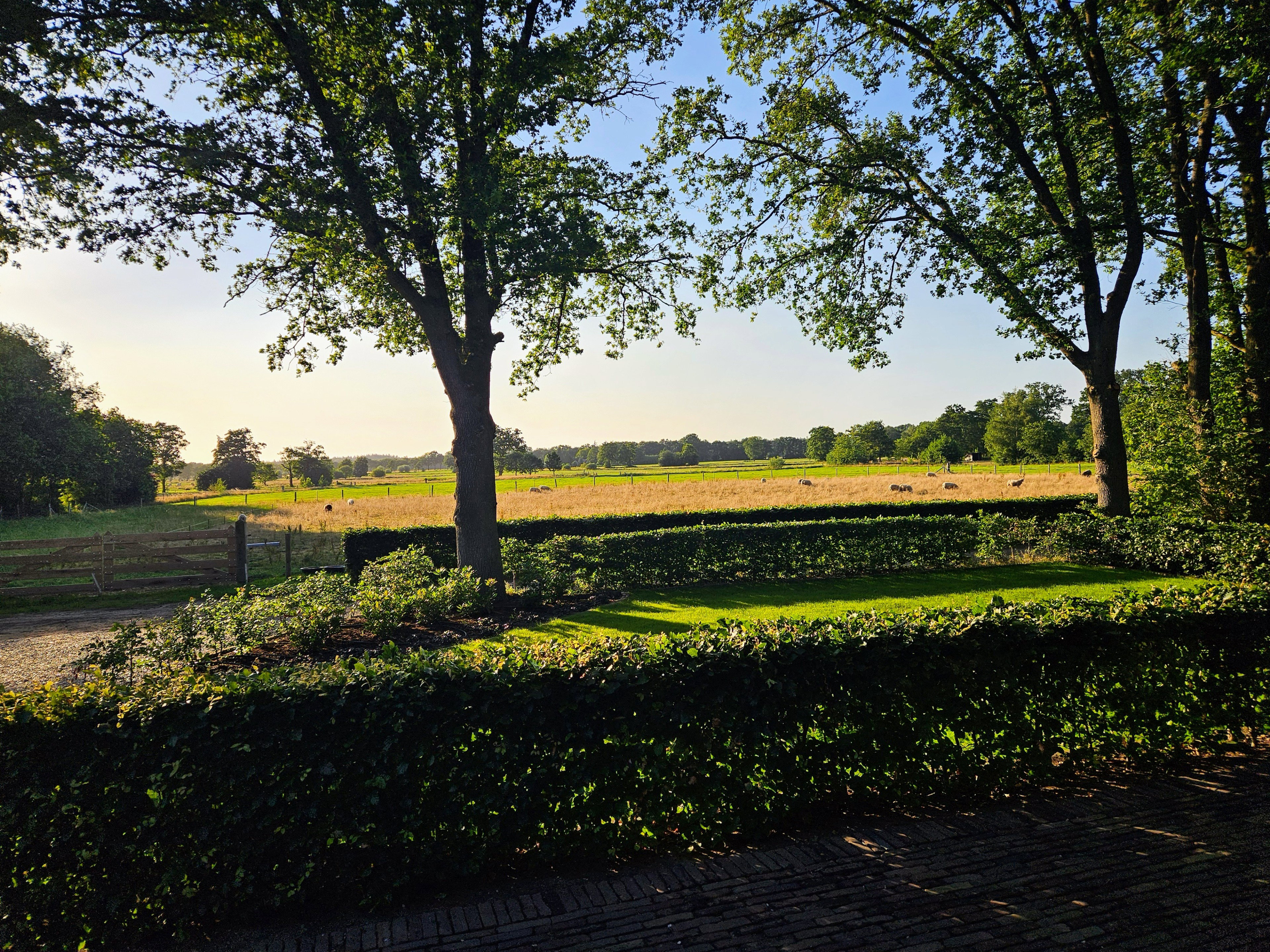Natuurhuisje in Emst