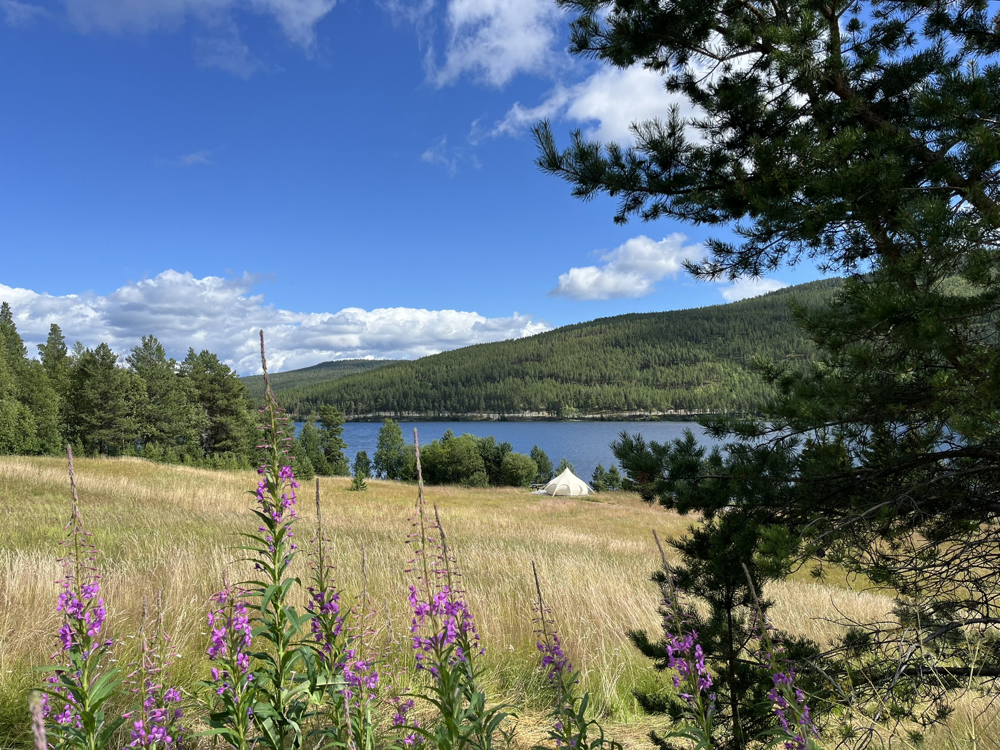 Natuurhuisje in Skåbu