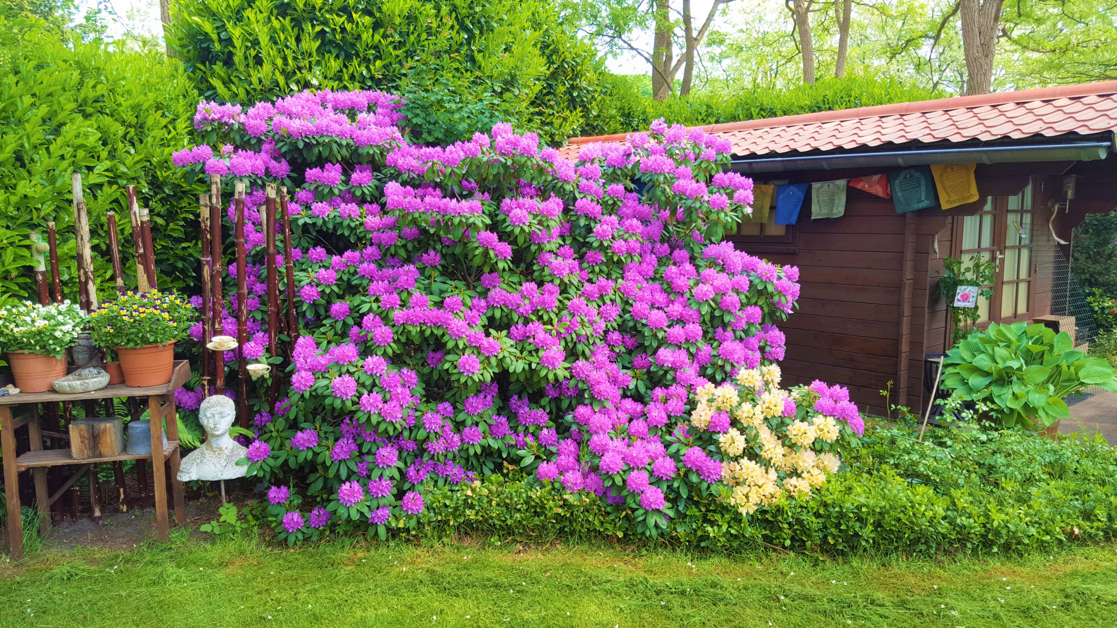 Maison nature à Holten
