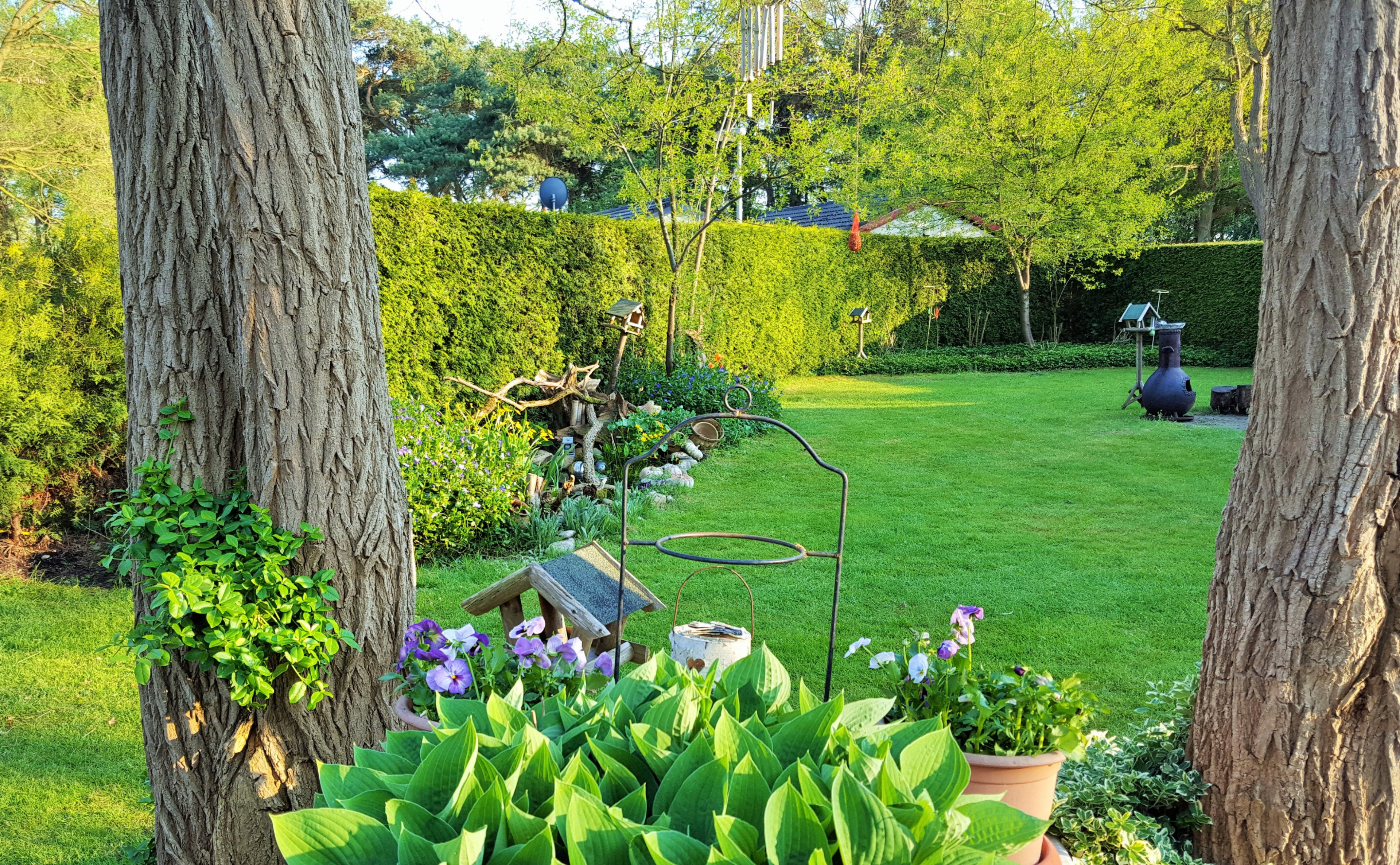 Maison nature à Holten