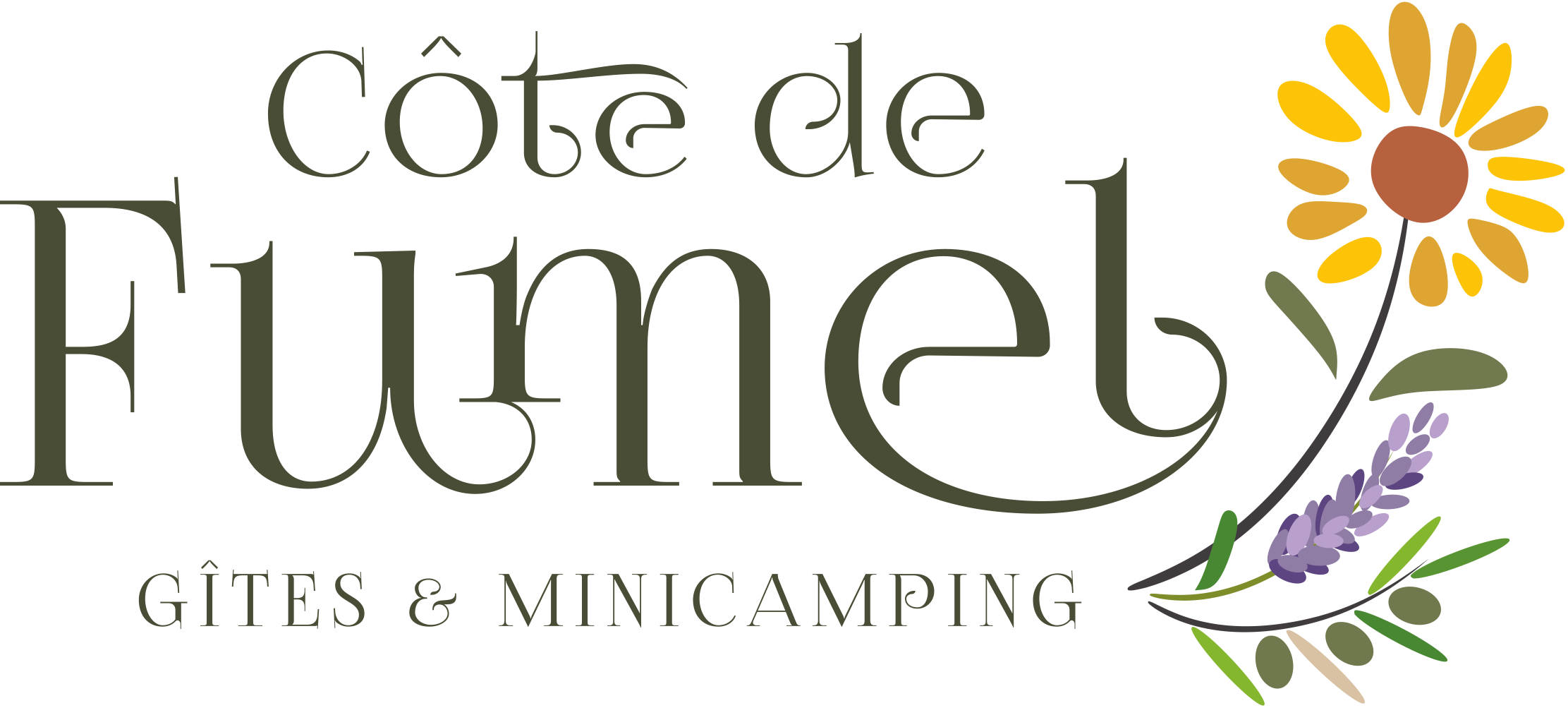 - image: 11