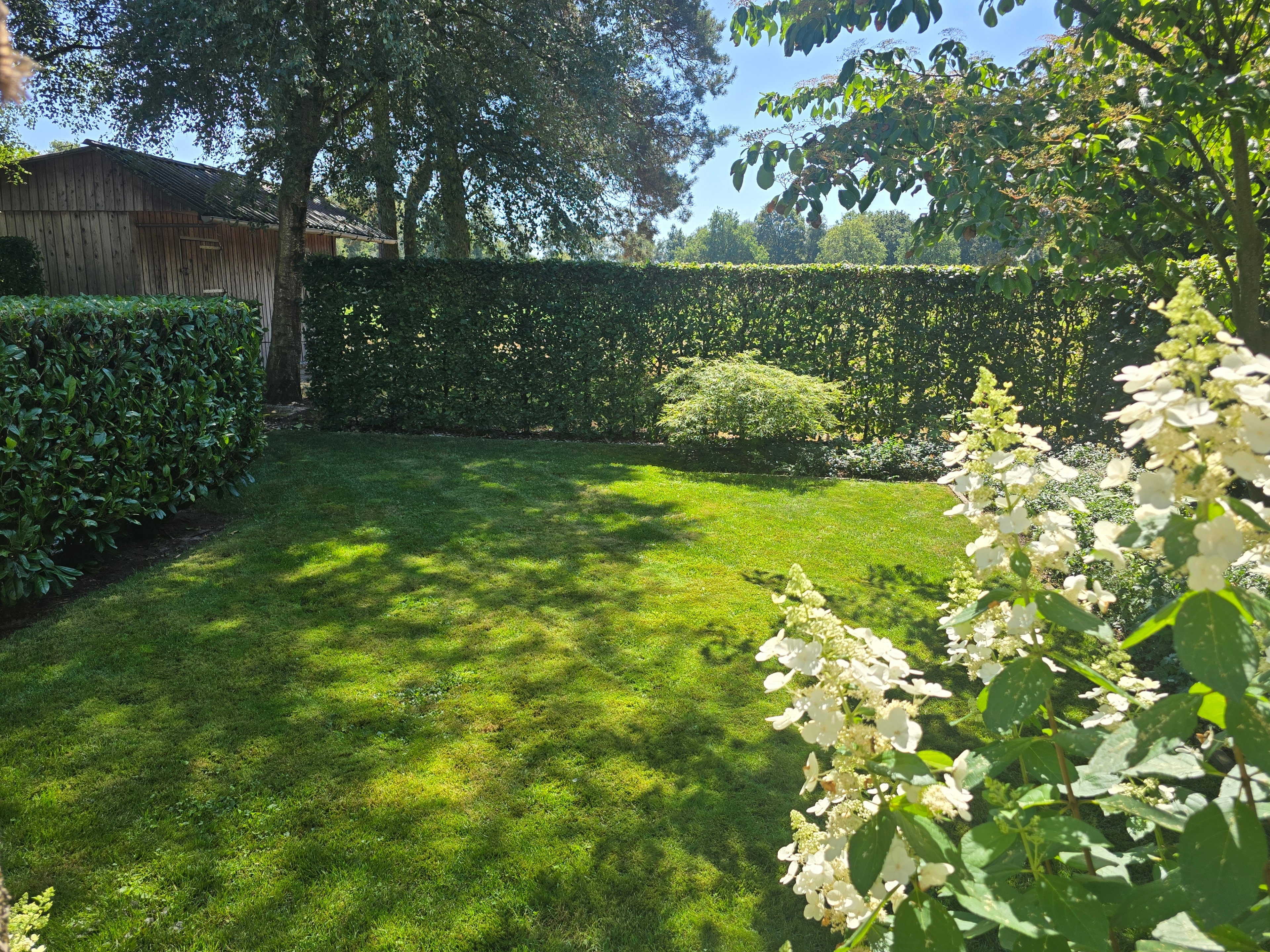 Nature house in Vriezenveen