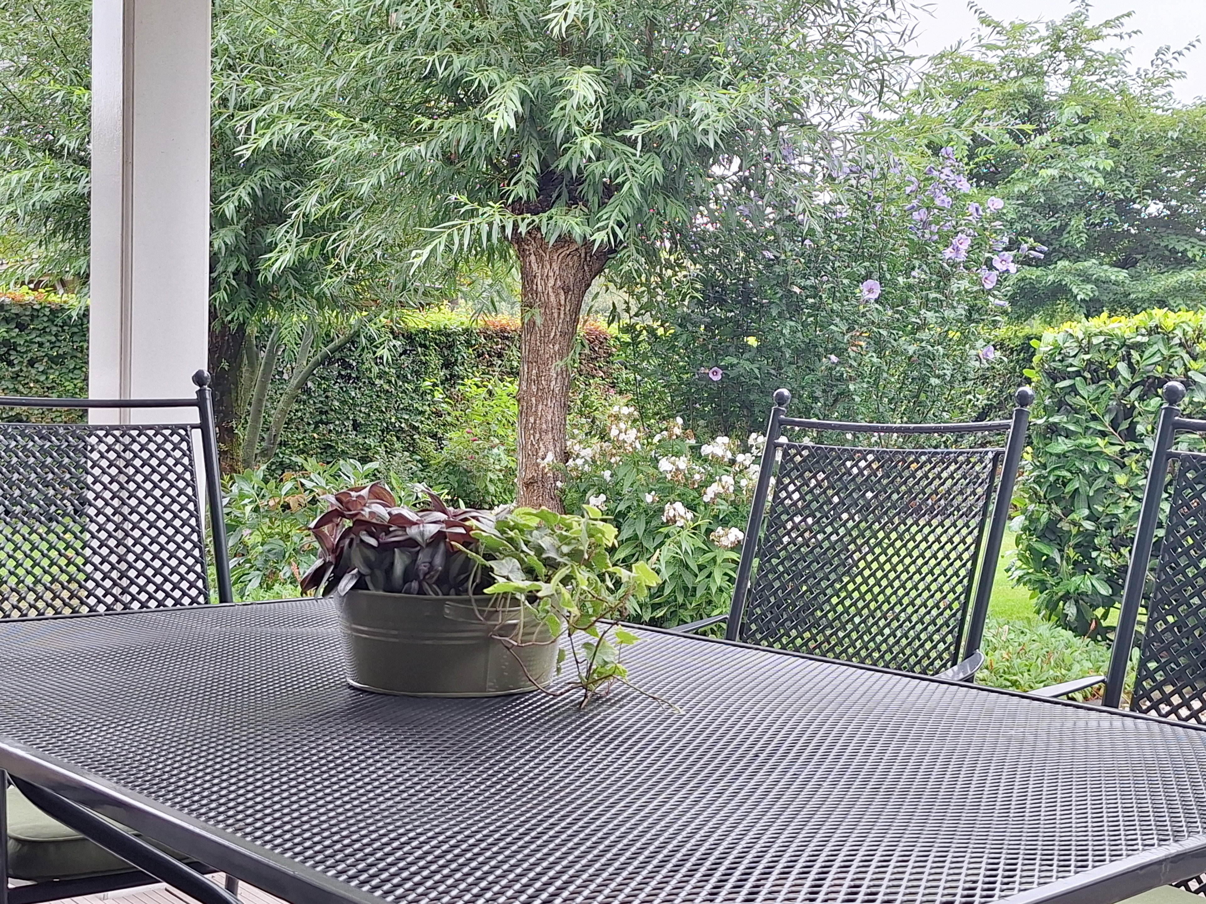 Nature house in Vriezenveen