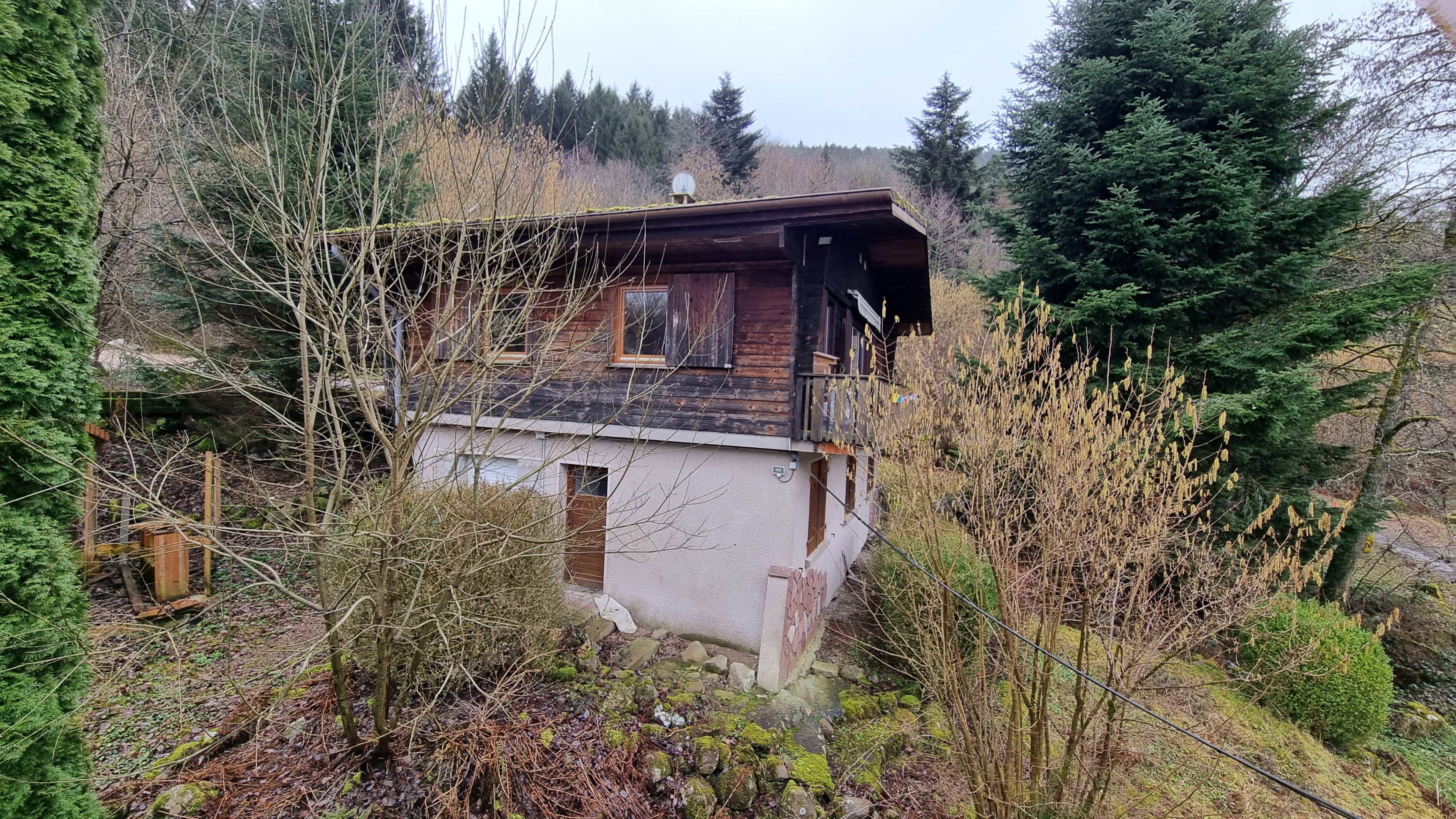 Maison nature à BAN SUR MEURTHE