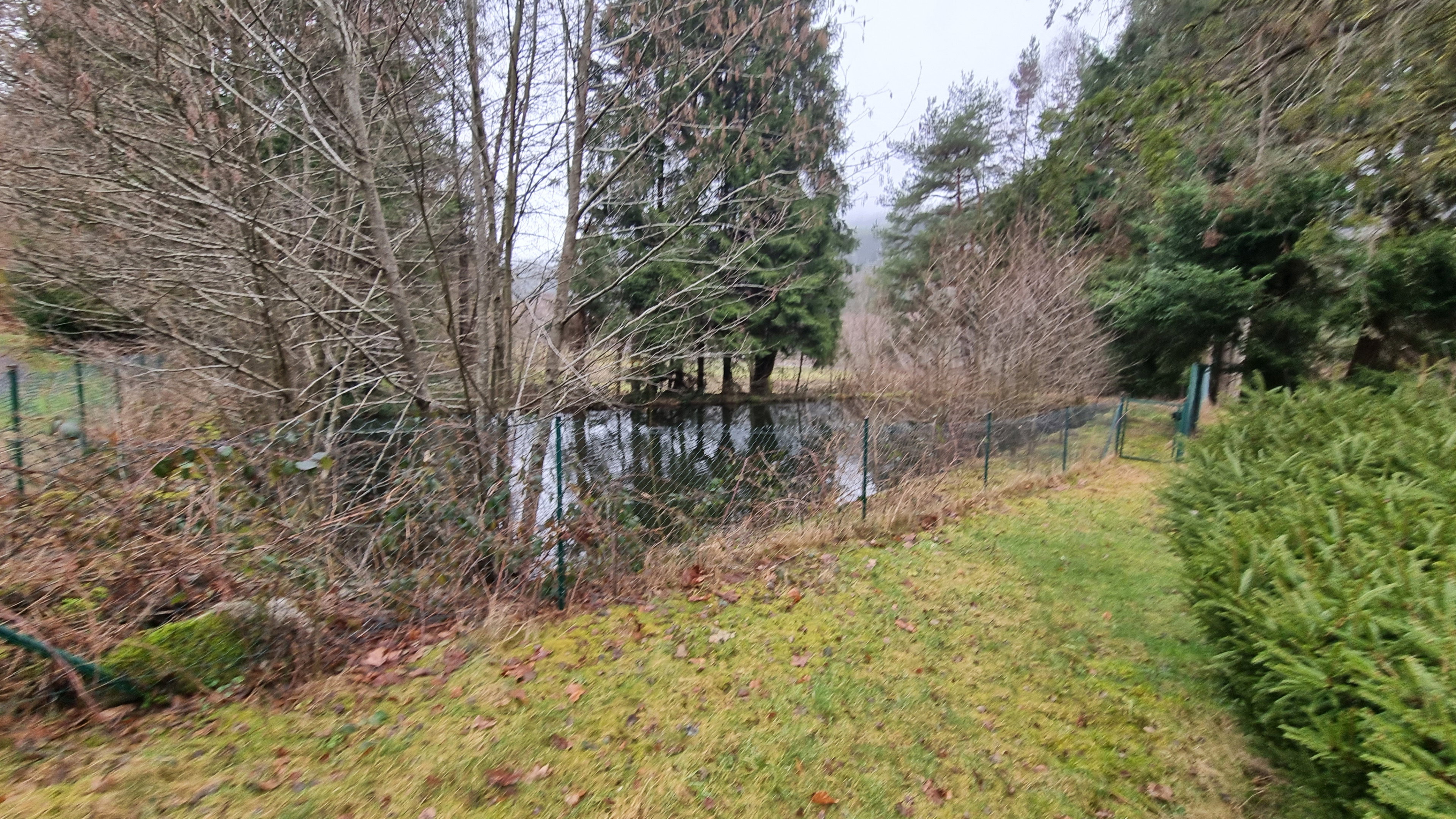 Maison nature à BAN SUR MEURTHE