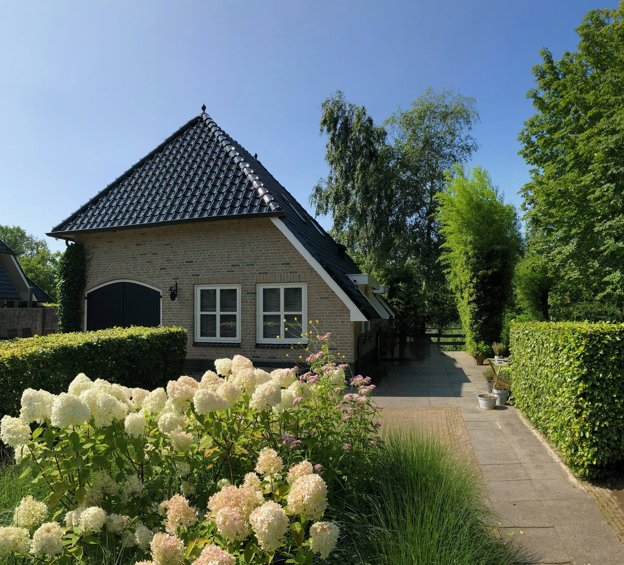 - image: 14