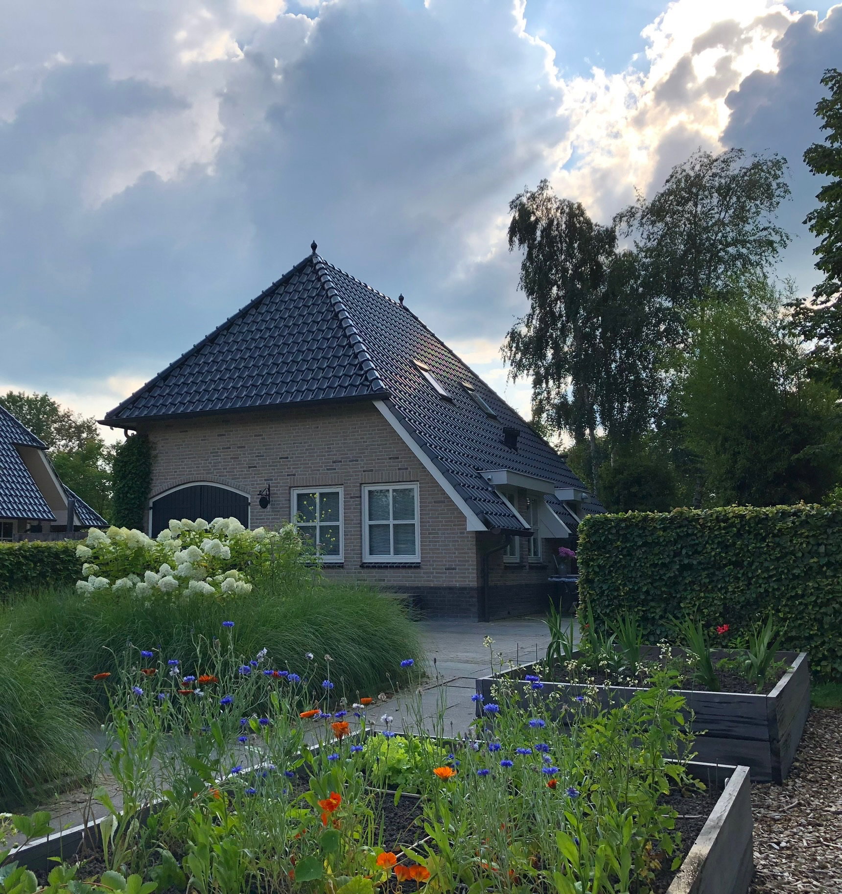 Nature house in Kollum