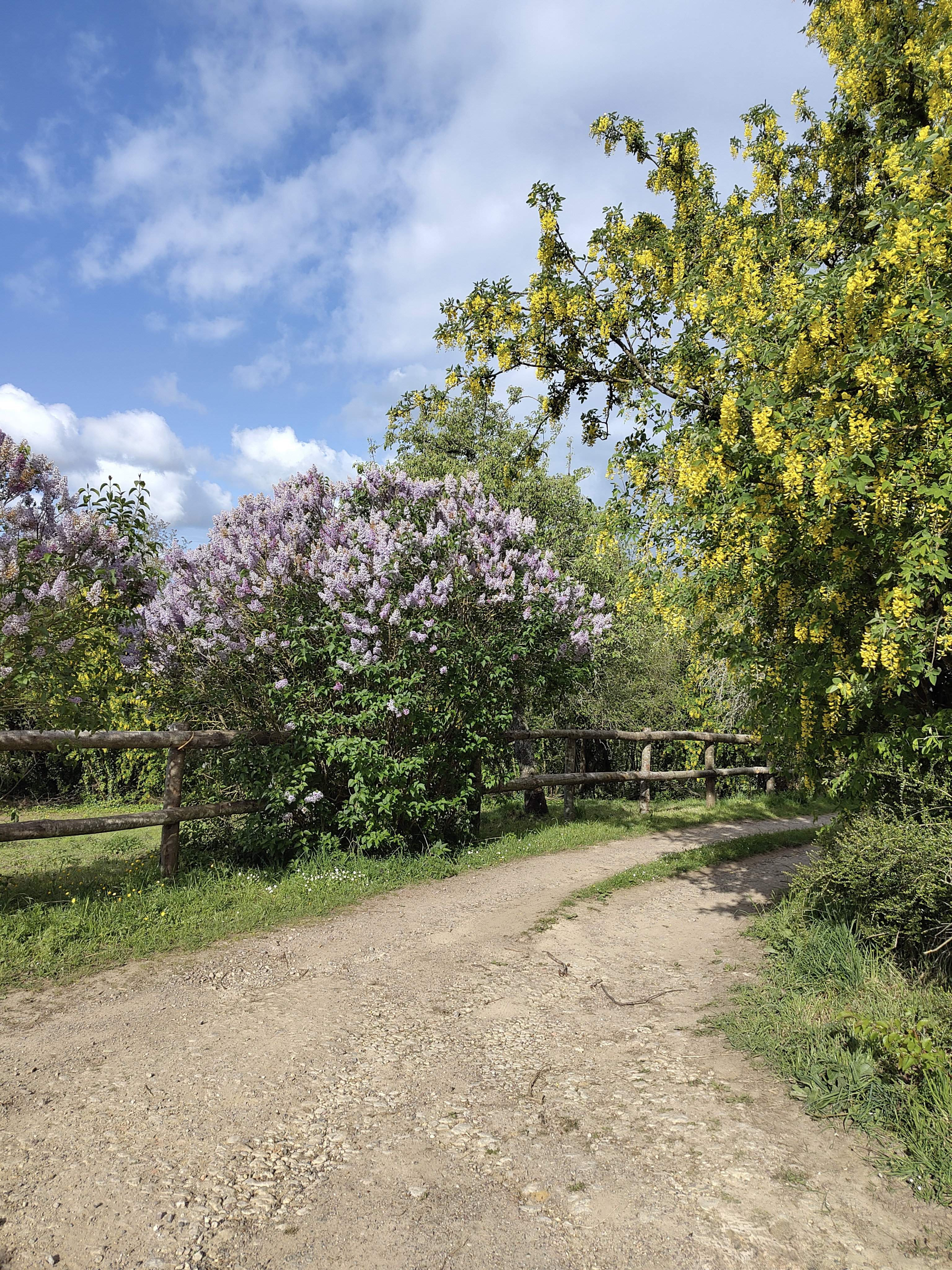 - image: 13