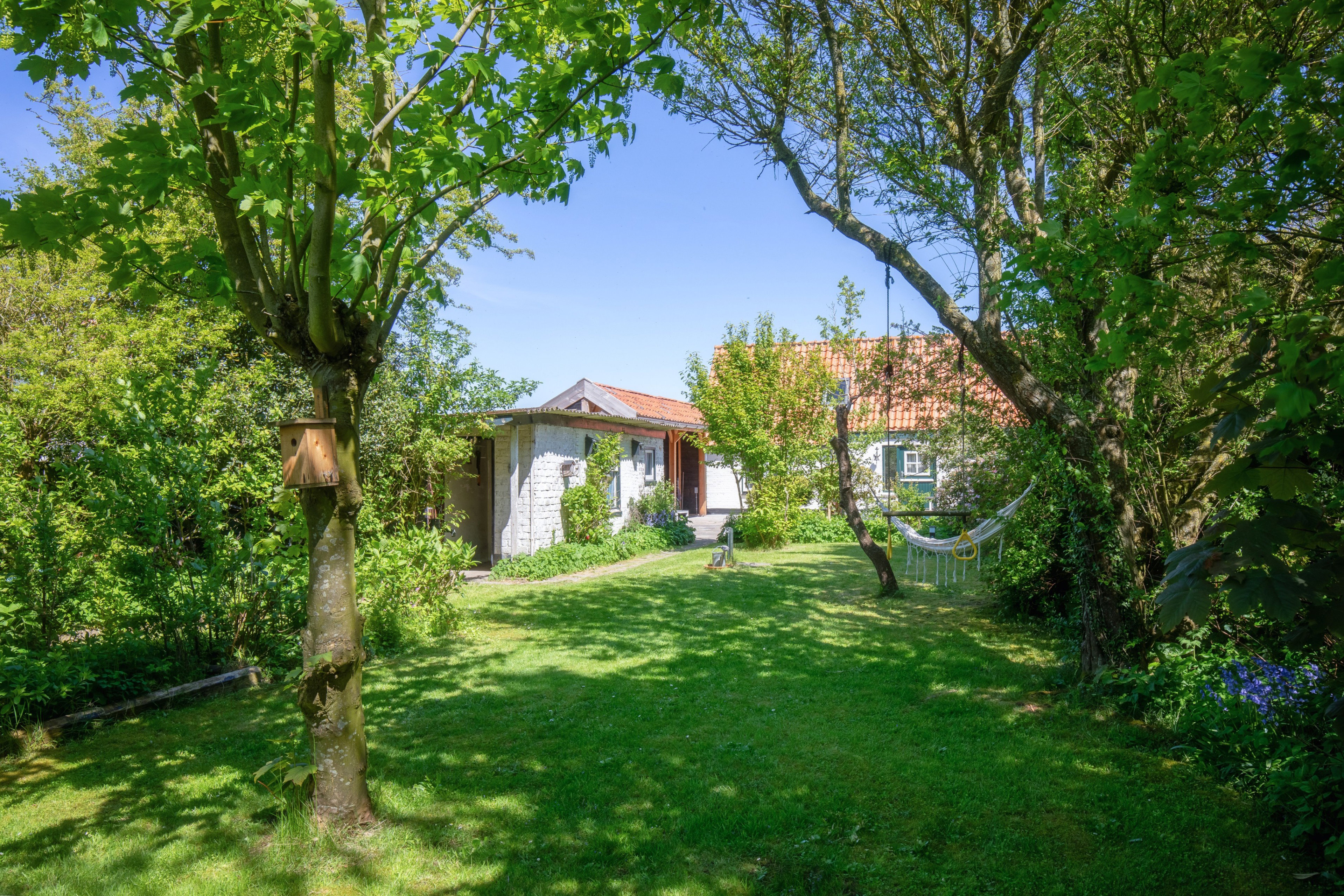 Maison nature à de Cocksdorp - Texel