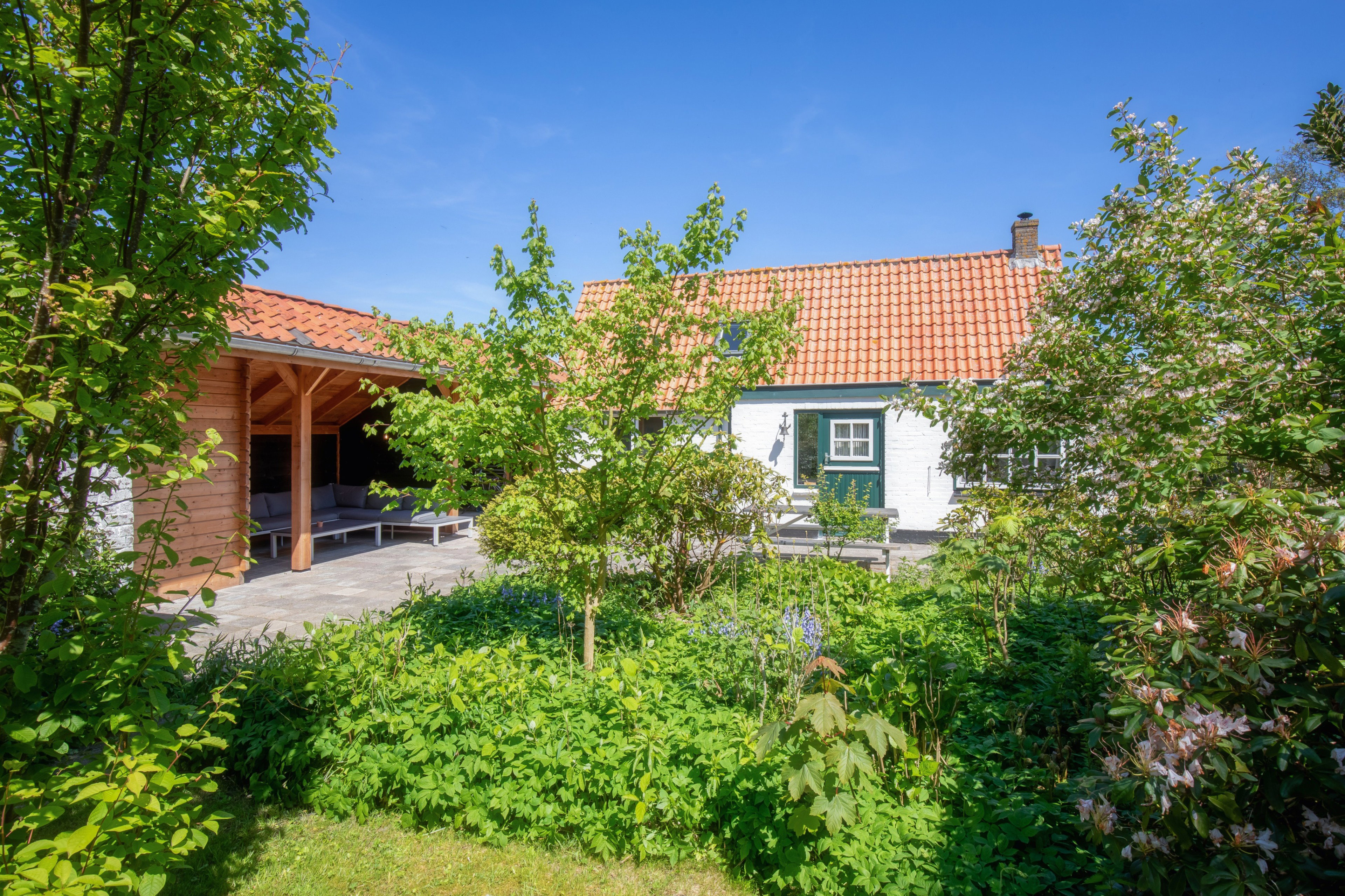 Maison nature à de Cocksdorp - Texel