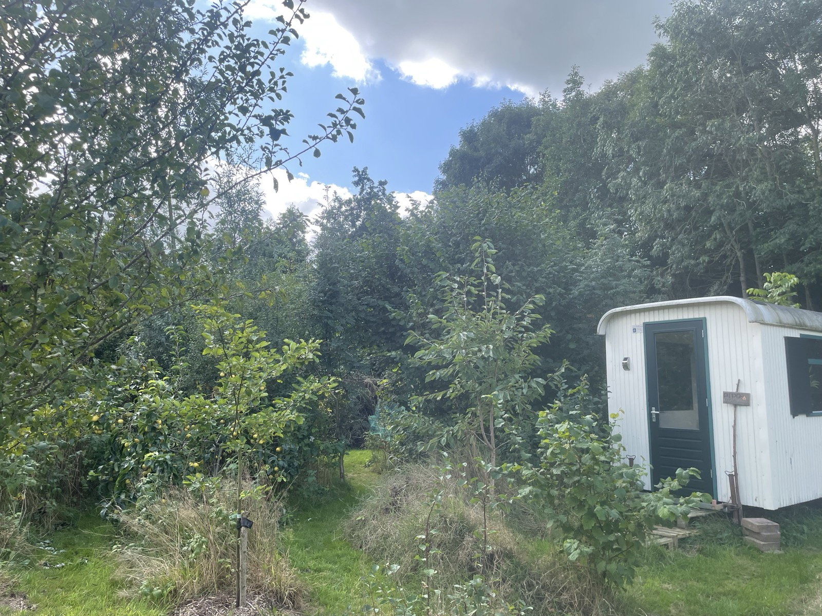 Nature house in Rotsterhaule