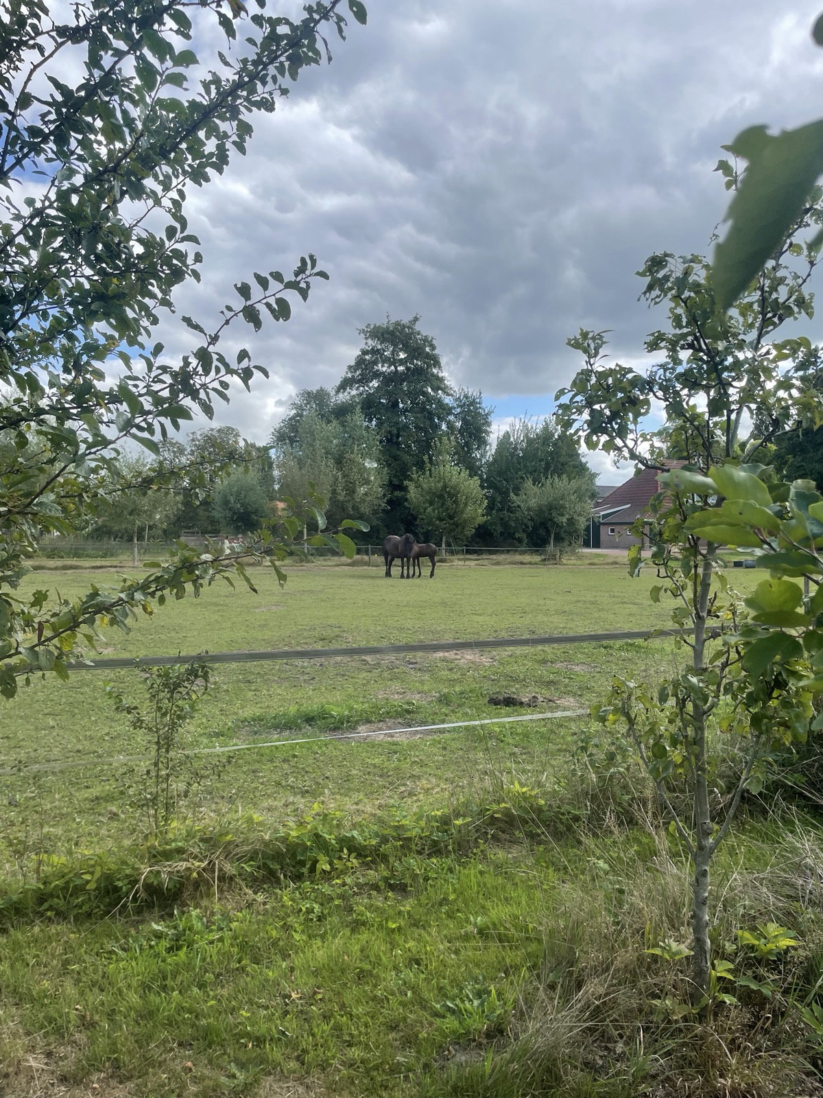 Nature house in Rotsterhaule