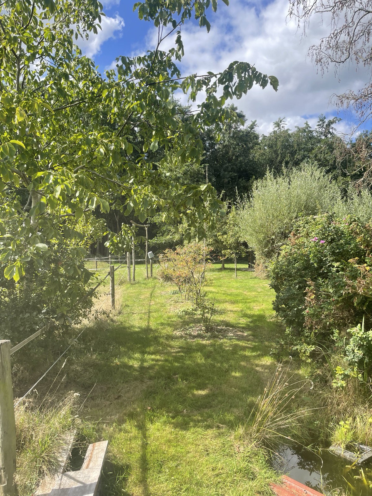 Nature house in Rotsterhaule