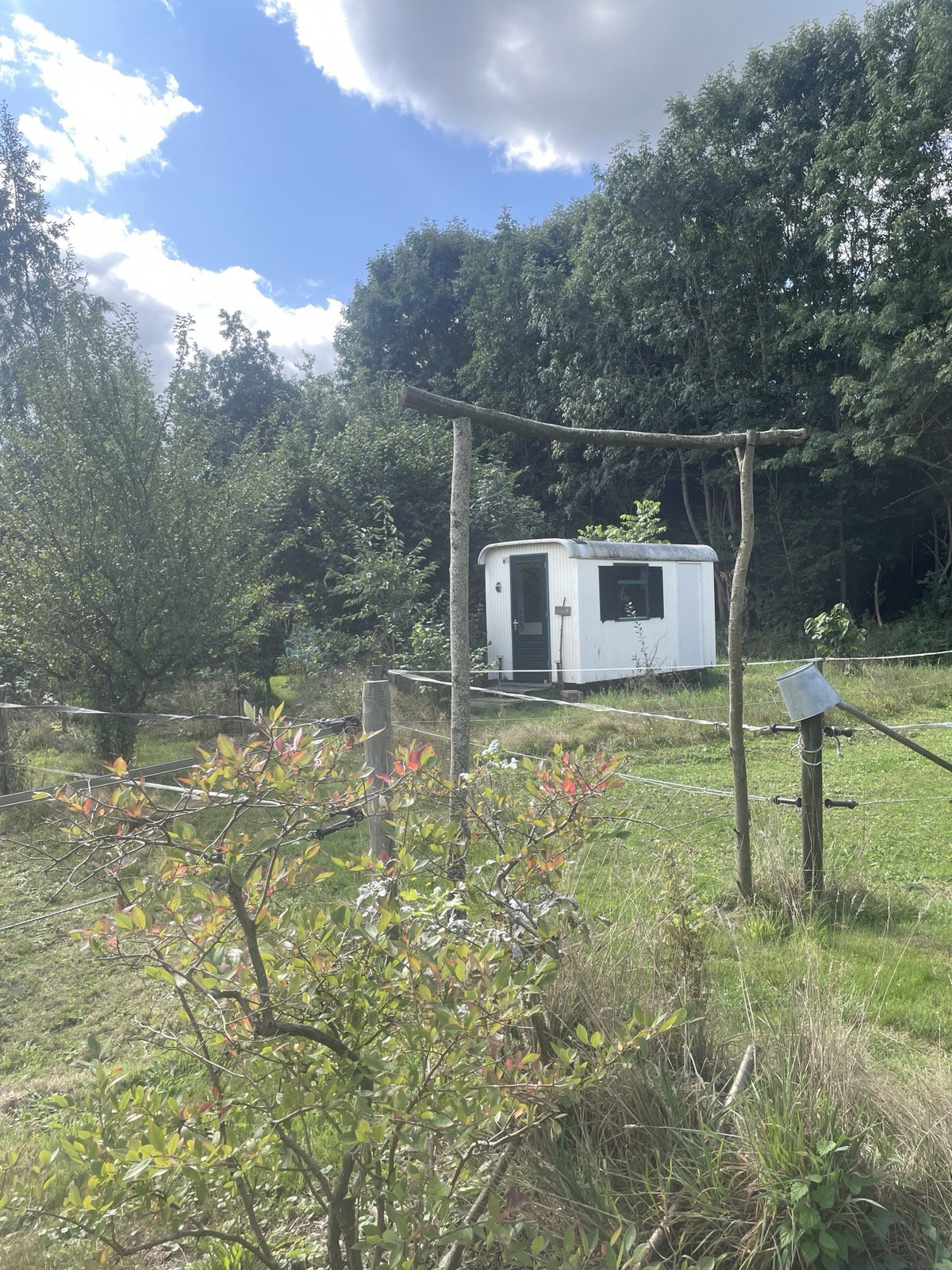 Nature house in Rotsterhaule