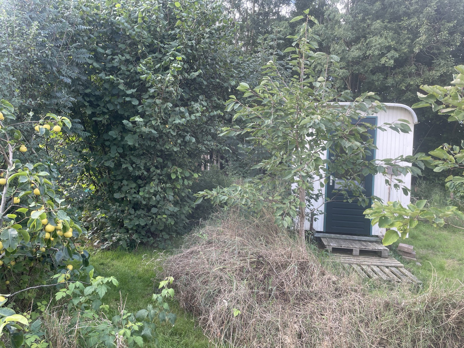 Nature house in Rotsterhaule