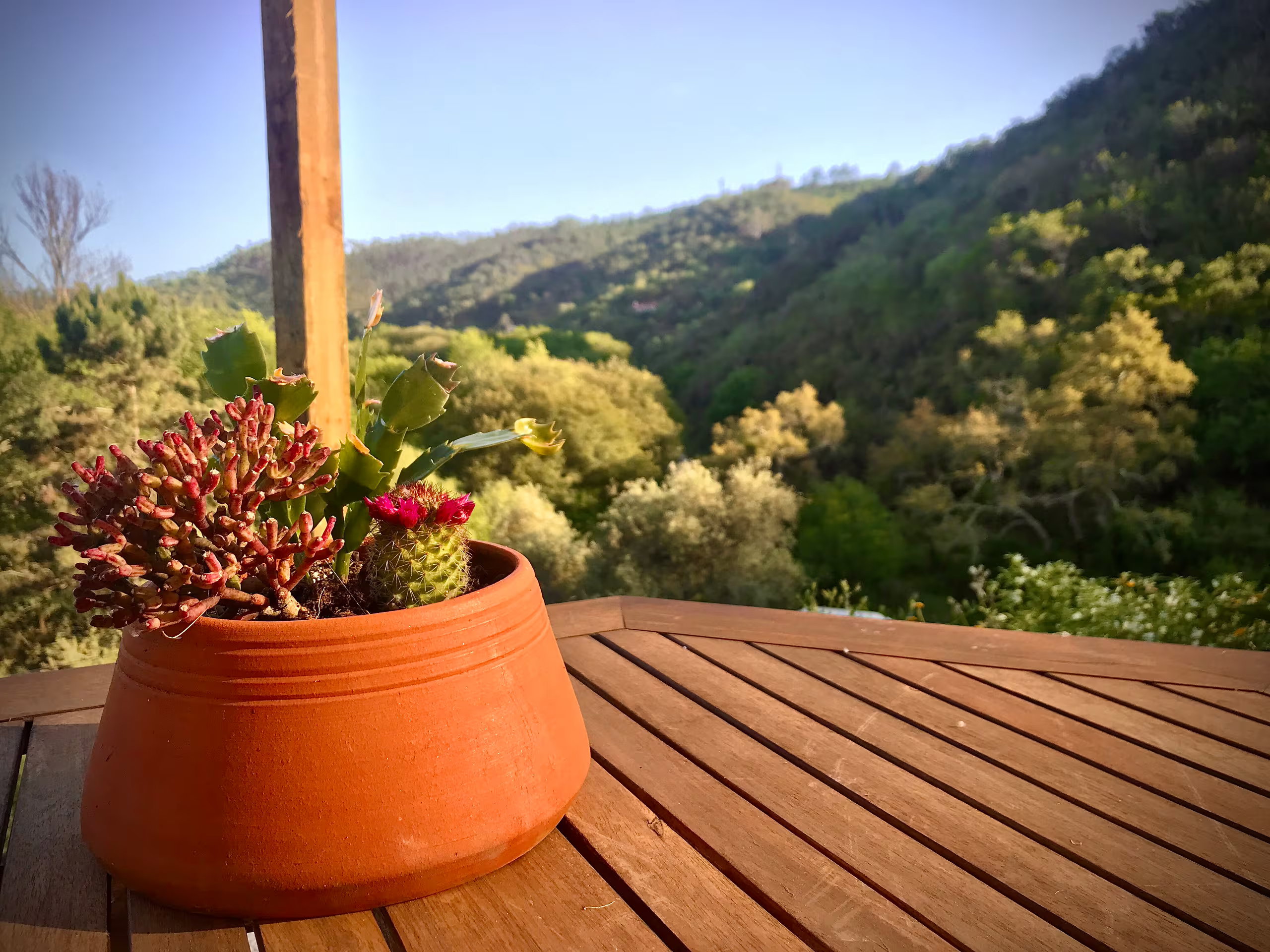 Nature house in Odeceixe