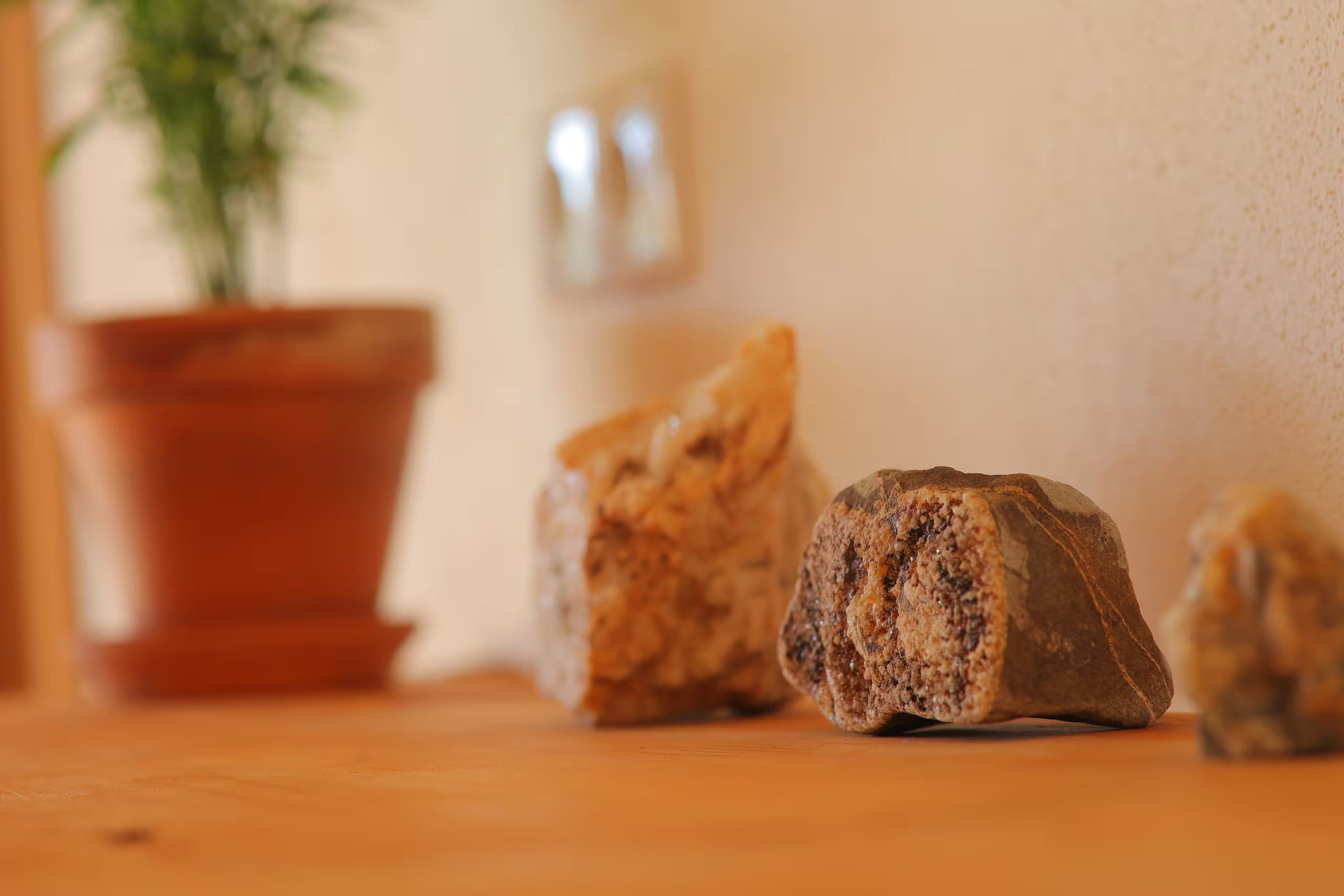 Nature house in Odeceixe