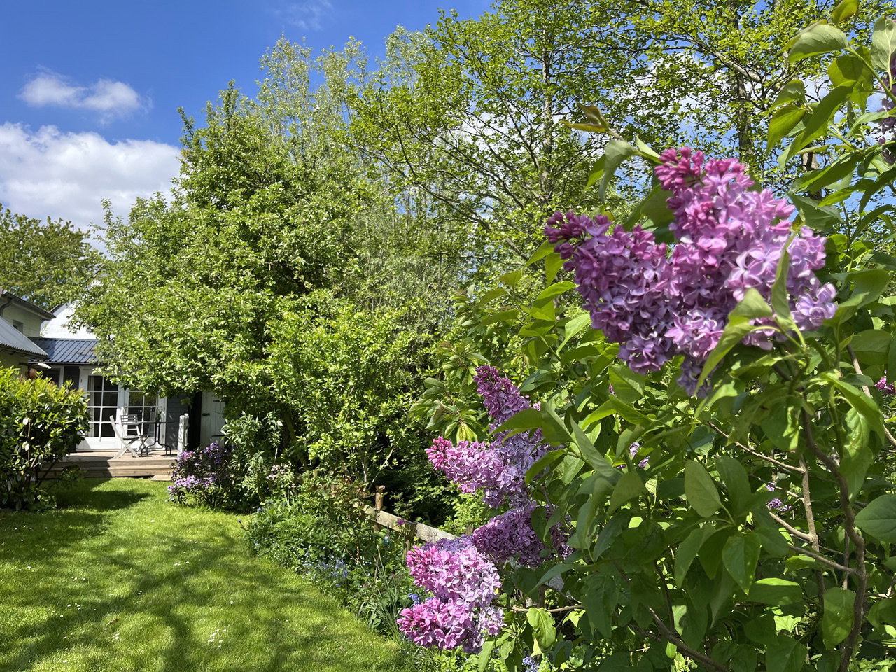 Maison nature à Nordstrand