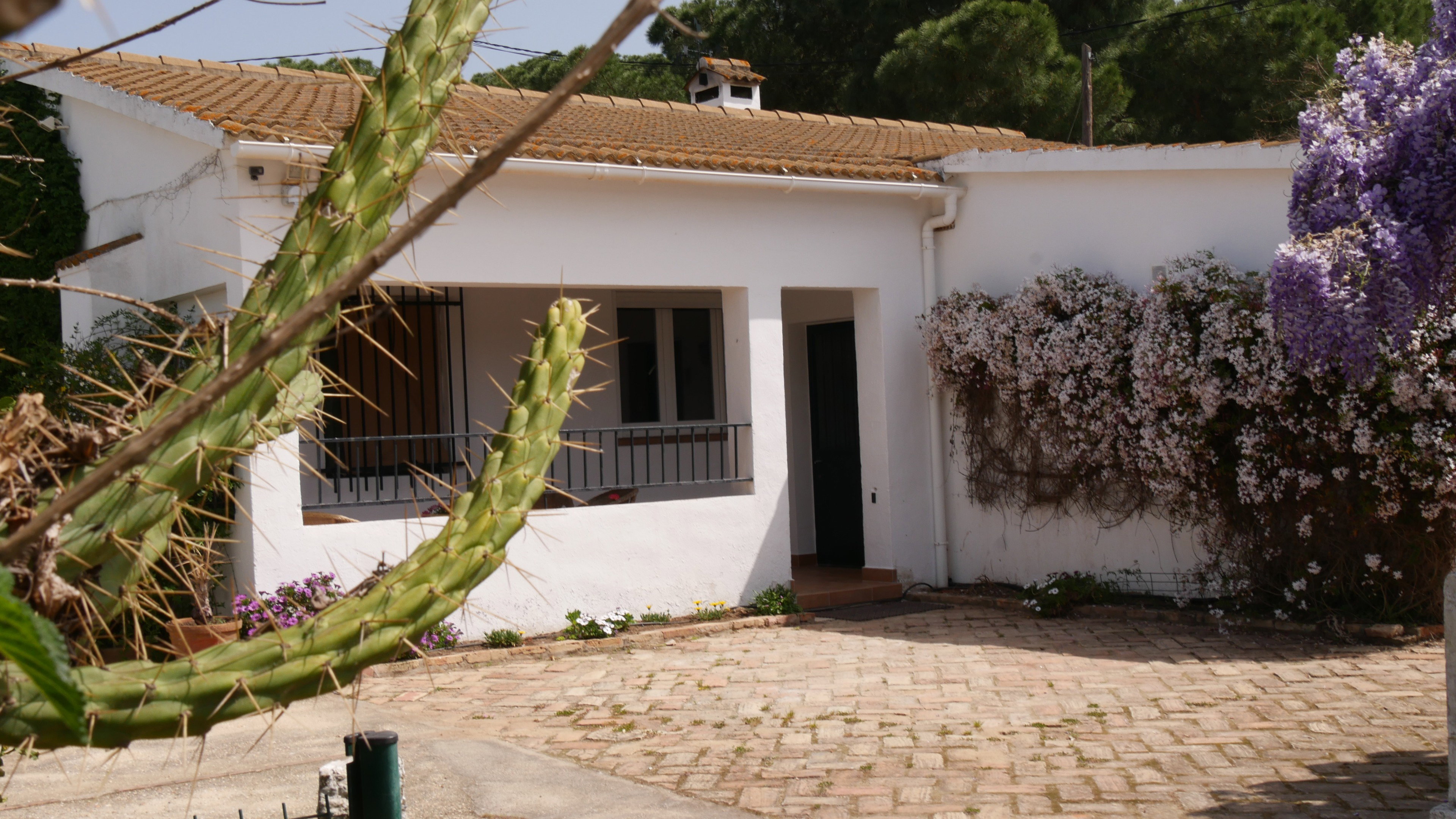 Nature house in Aljaraque