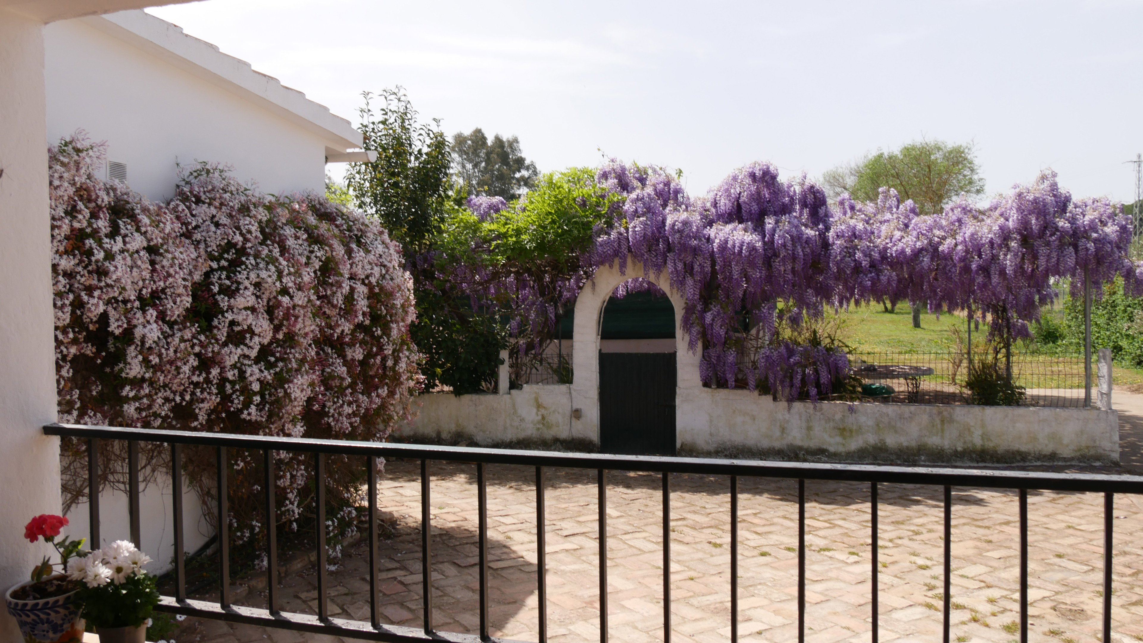 Nature house in Aljaraque